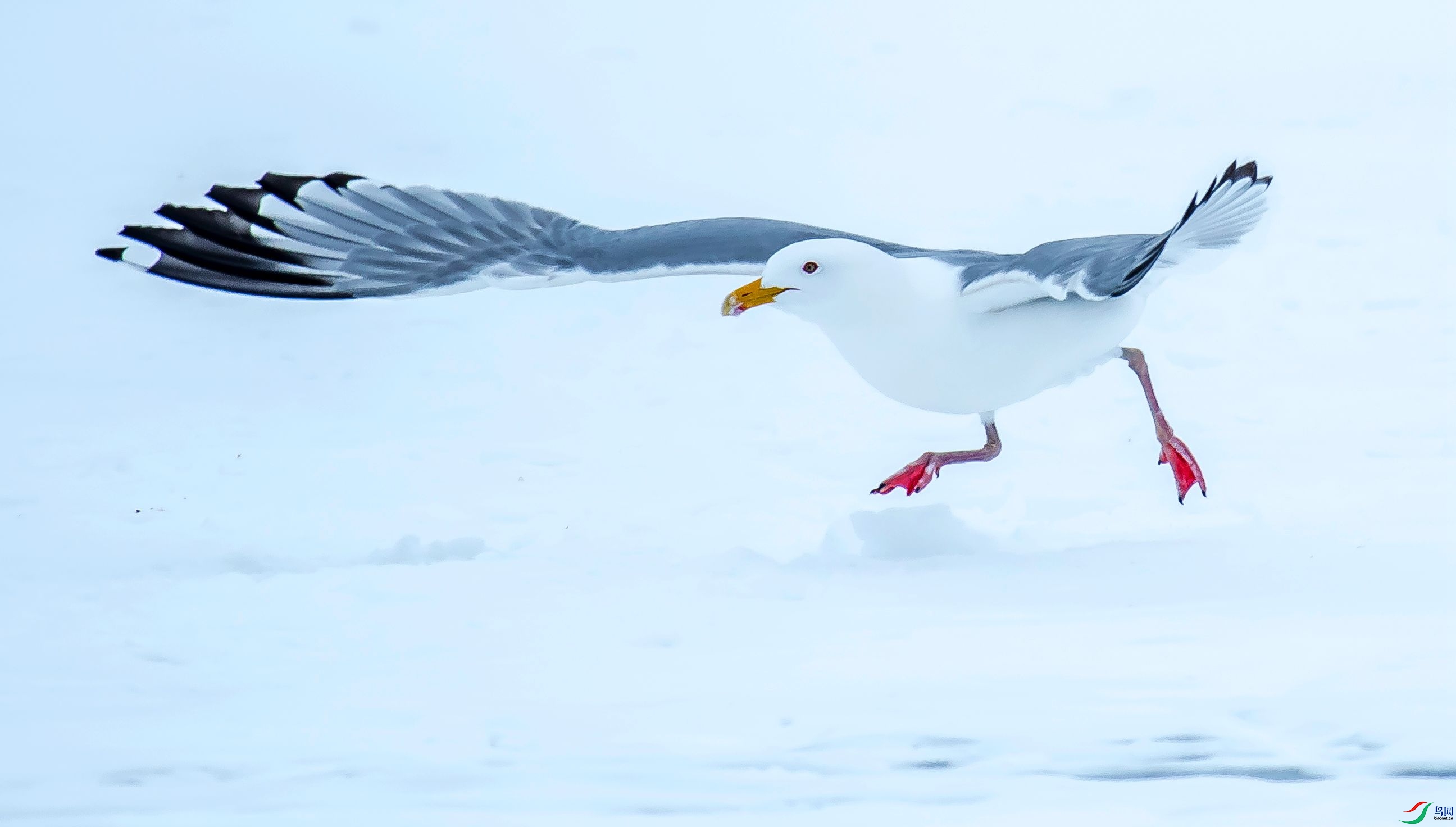 DSC_4818m.jpg