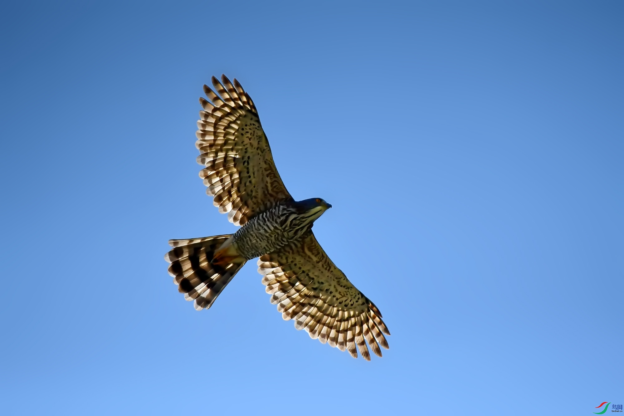 DSC_5623.jpg