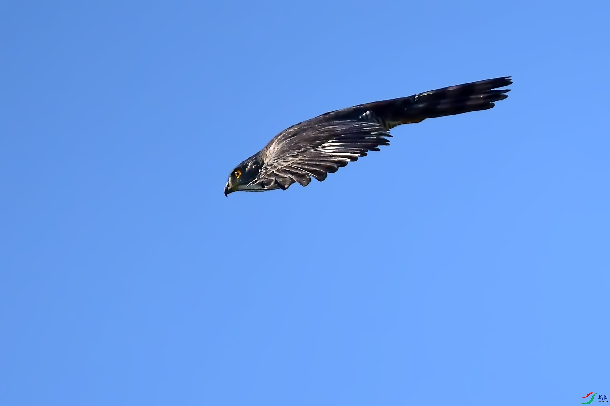 DSC_5632.jpg