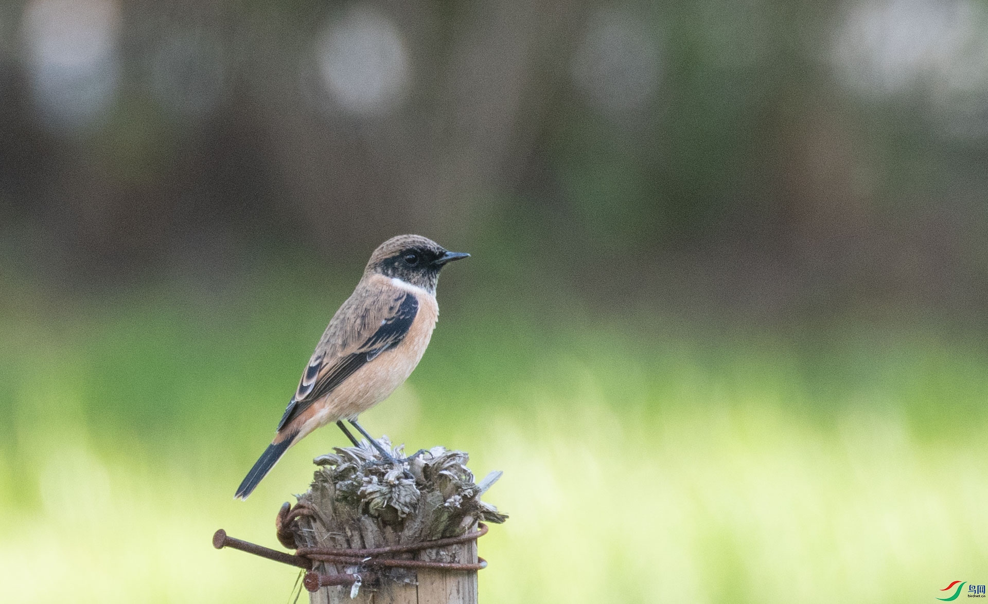 DSC_5139.jpg