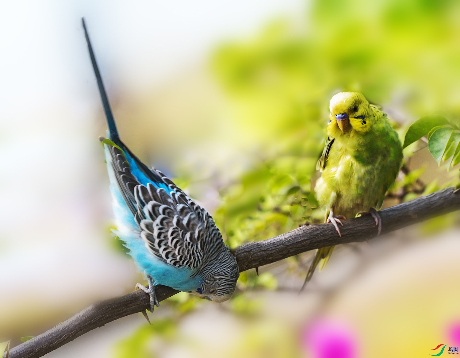 20221109-��ɳ������102.jpg