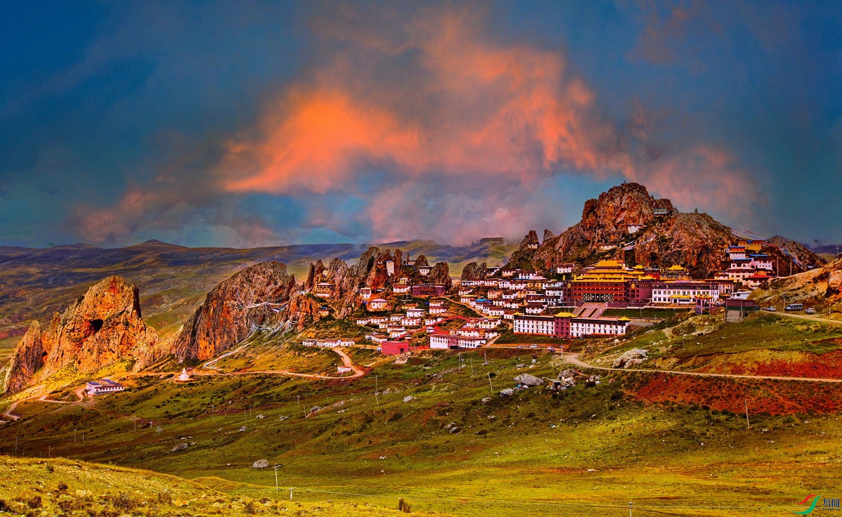 ����ӿ�� (1).jpg