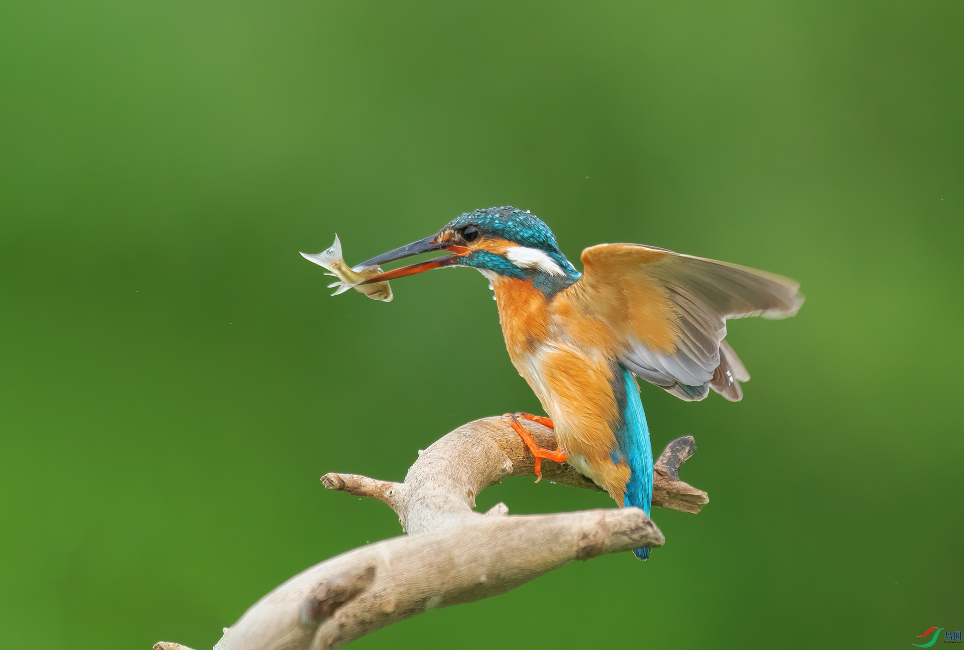 DSC_3740 -1.jpg