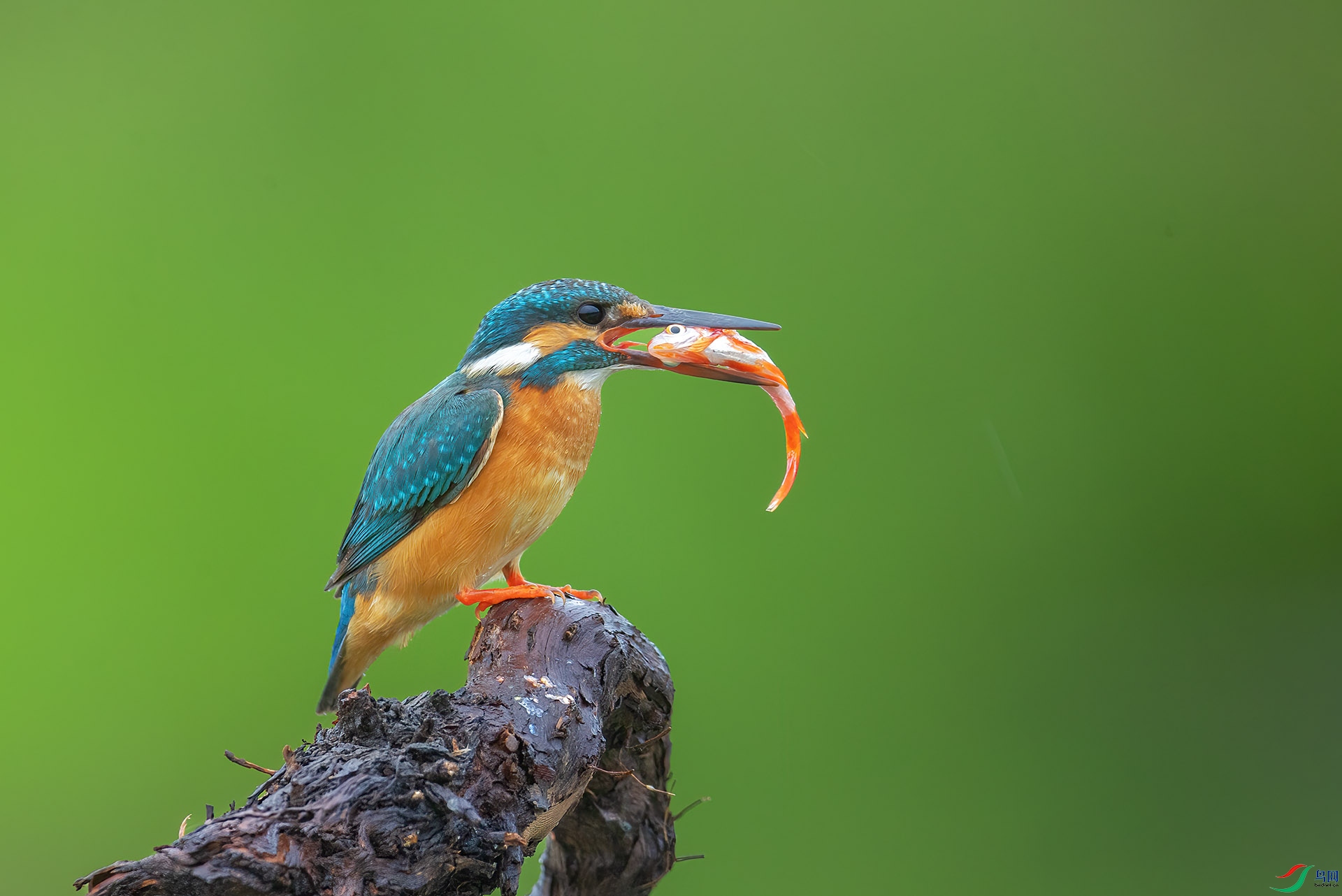 DSC_5782 -1.jpg
