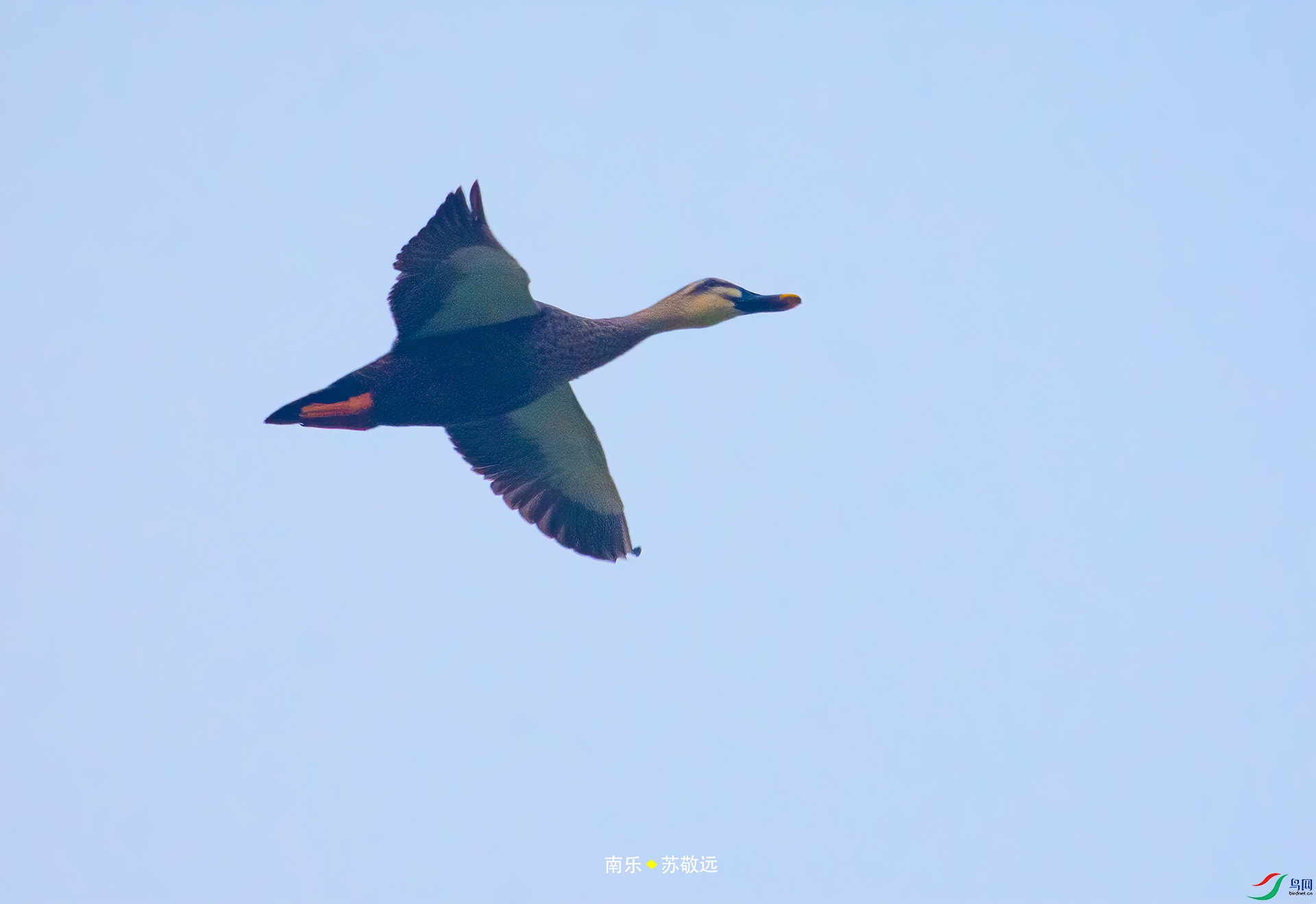 _DSC1766С.jpg