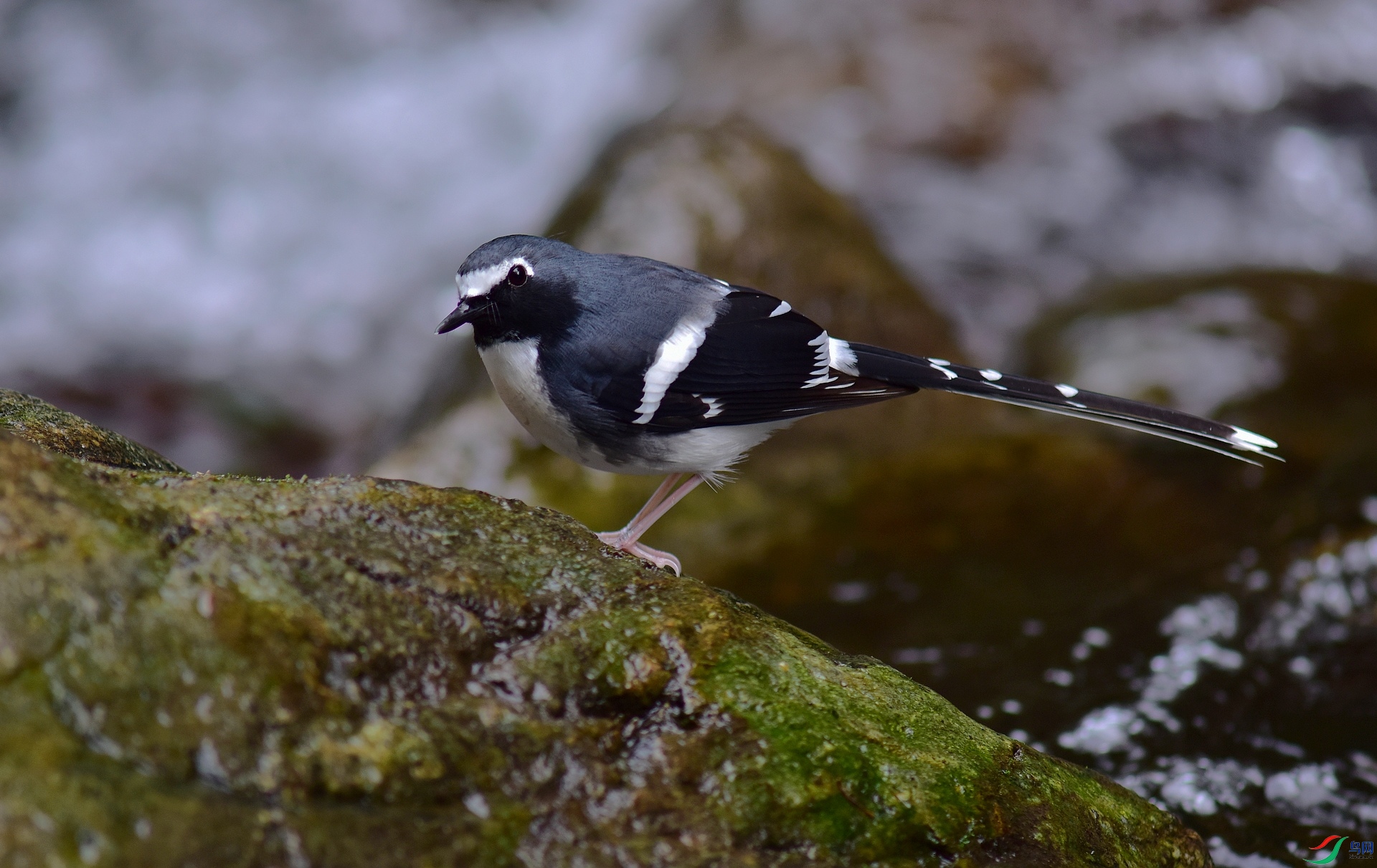 D8I_3267.jpg