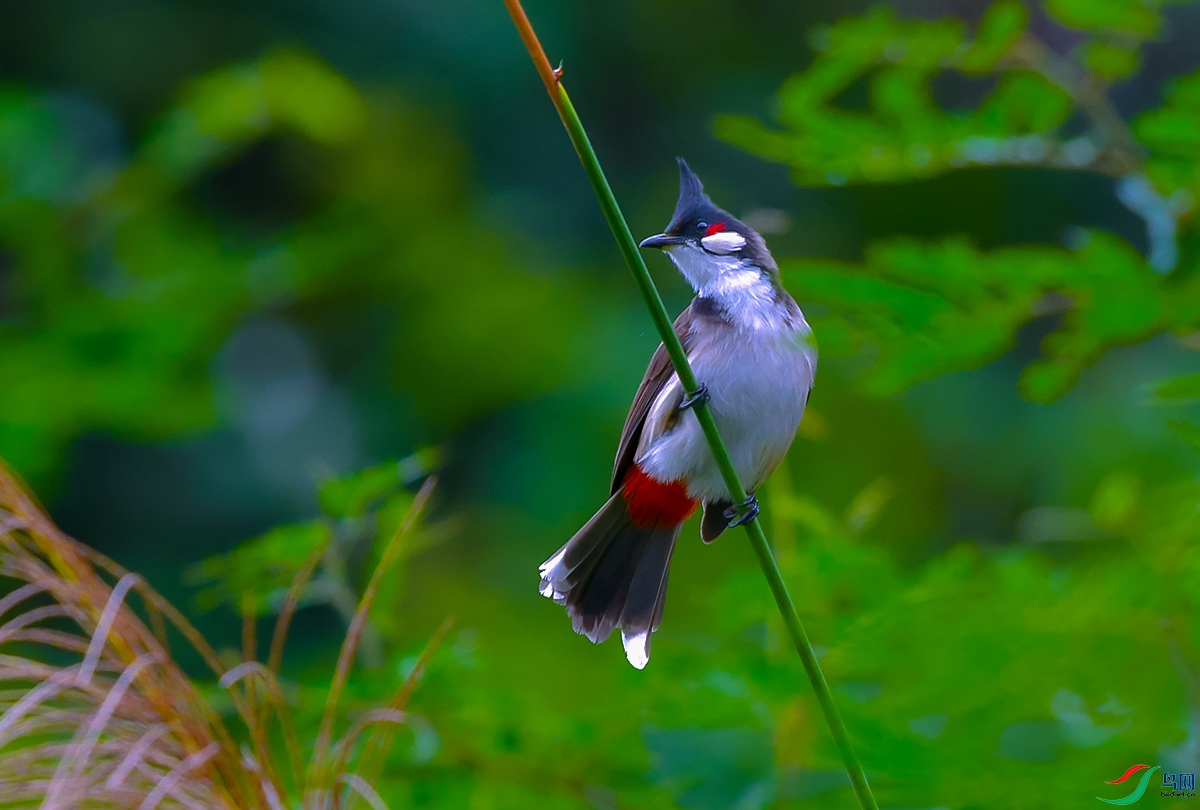 DSC_7249.JPG