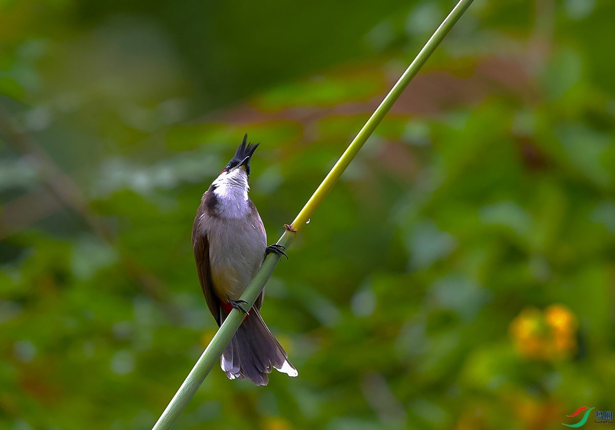 DSC_7108.JPG