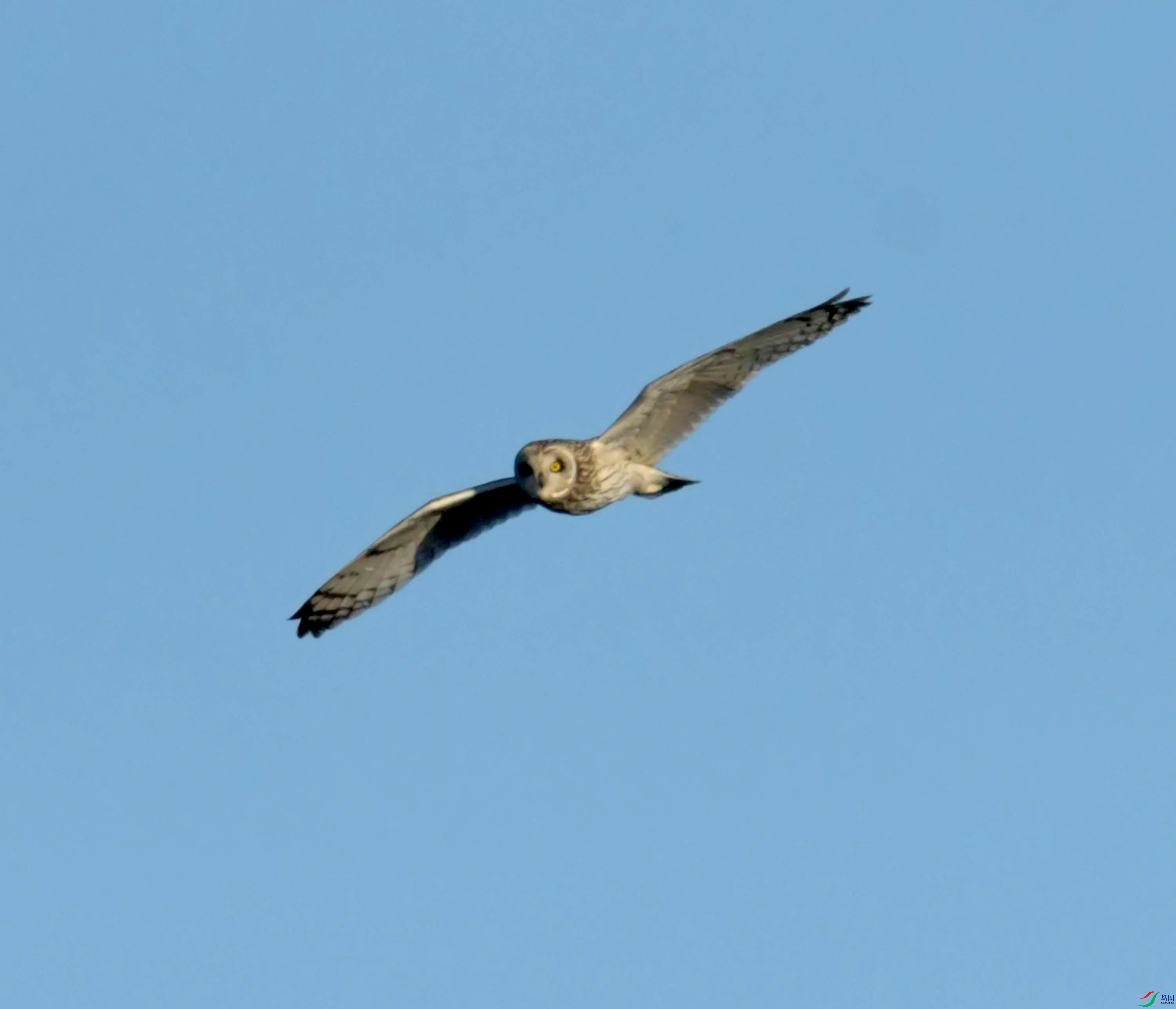 DSC_9007.JPG