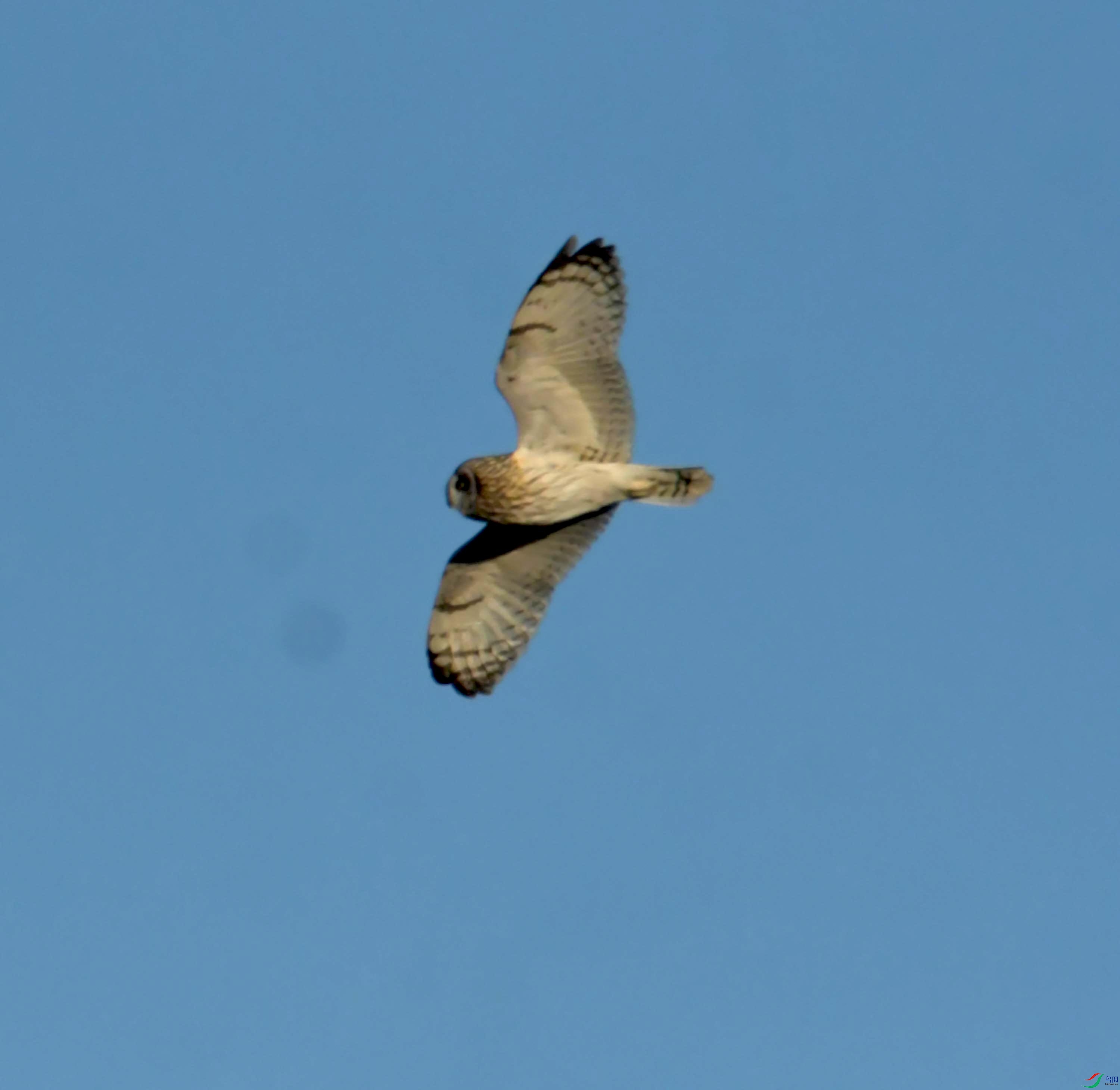 DSC_9010.JPG