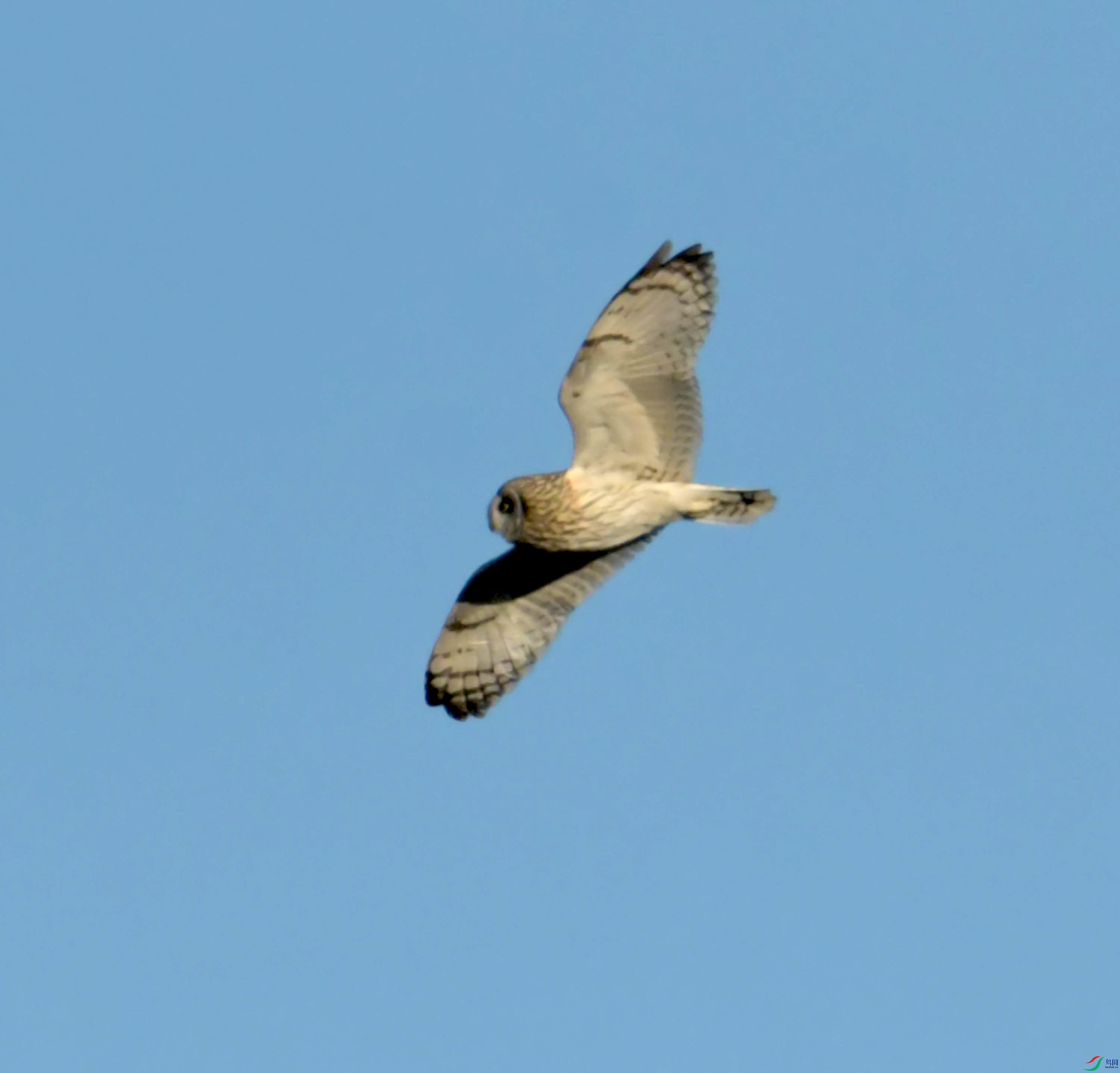 DSC_9009.JPG