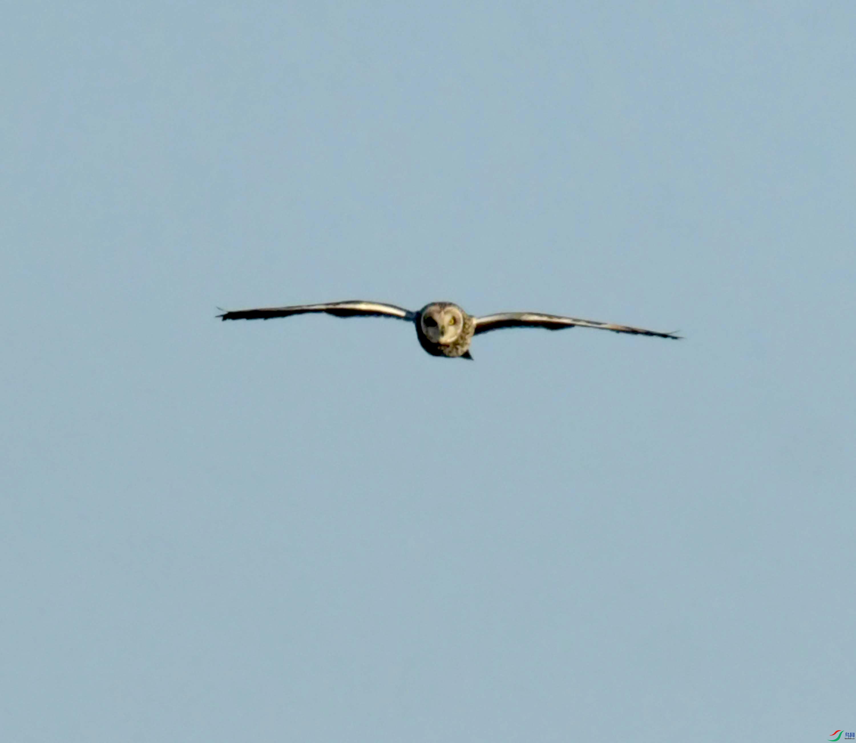 DSC_9023.JPG