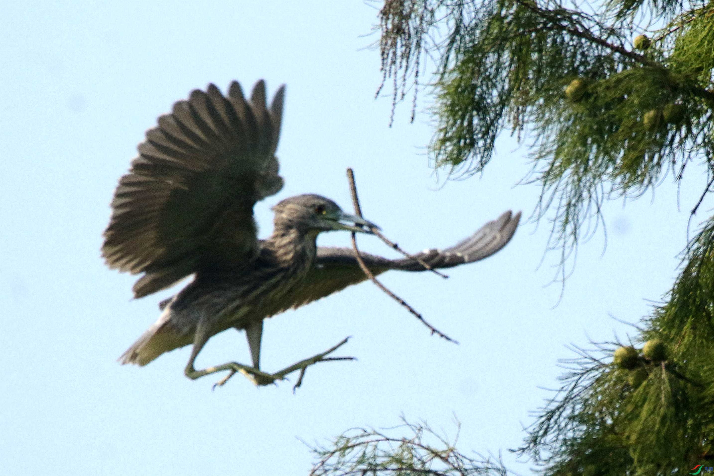 0L7A3317_����.jpg