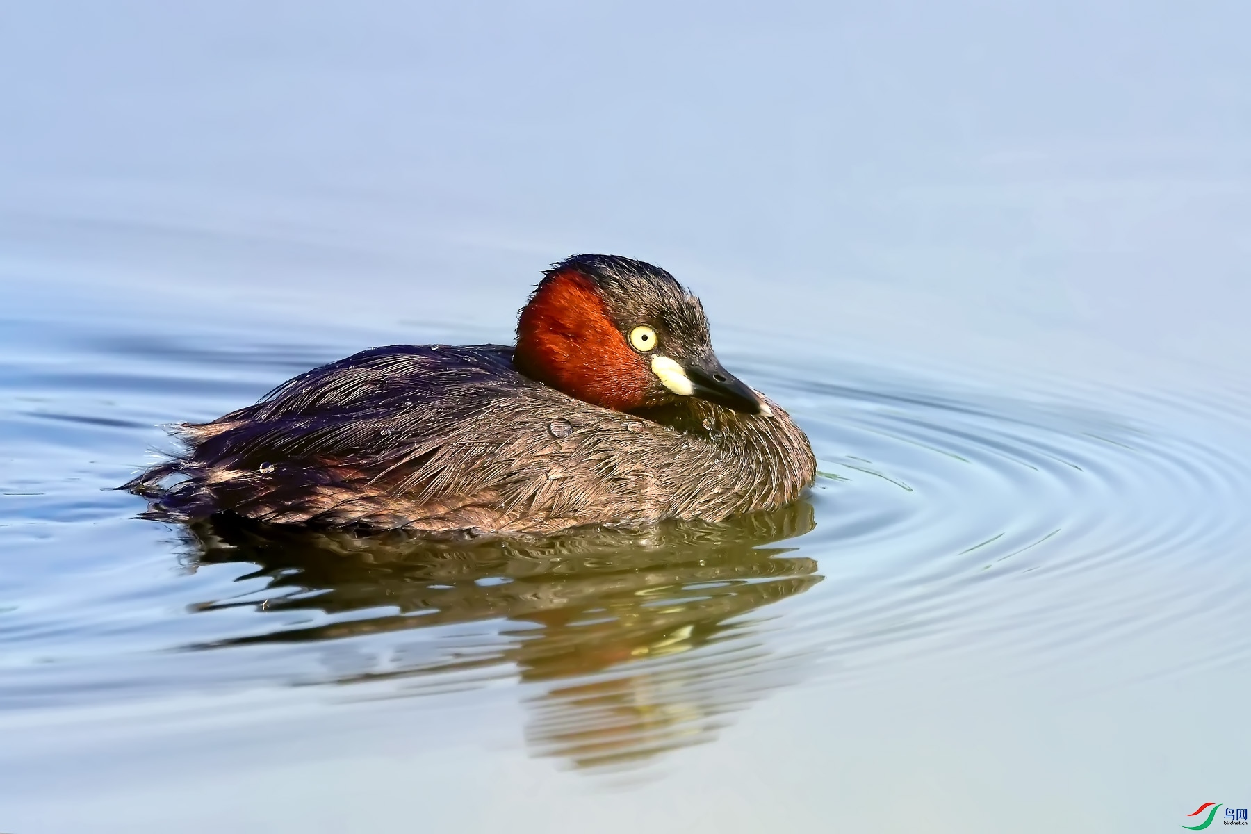 DSC_7625.jpg
