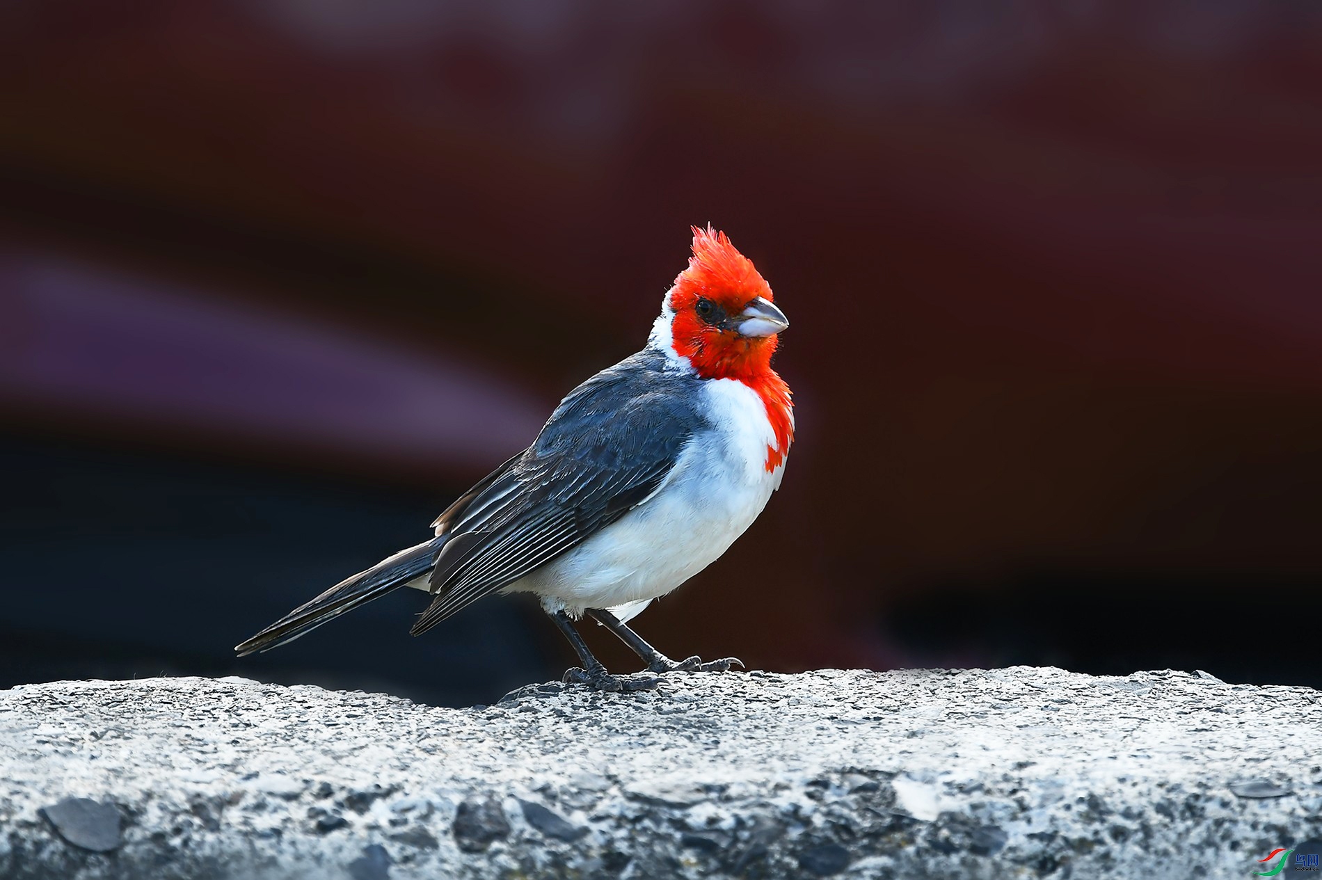 DSC_8102_.jpg