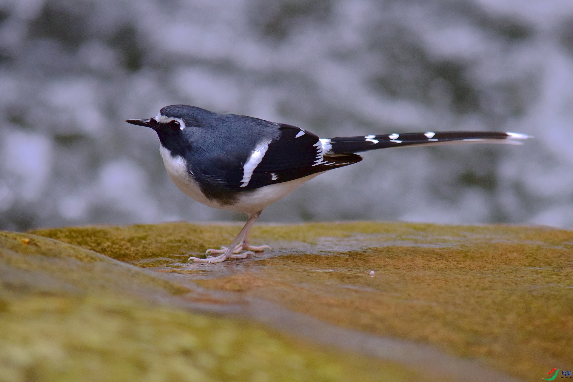 D8I_5202.jpg