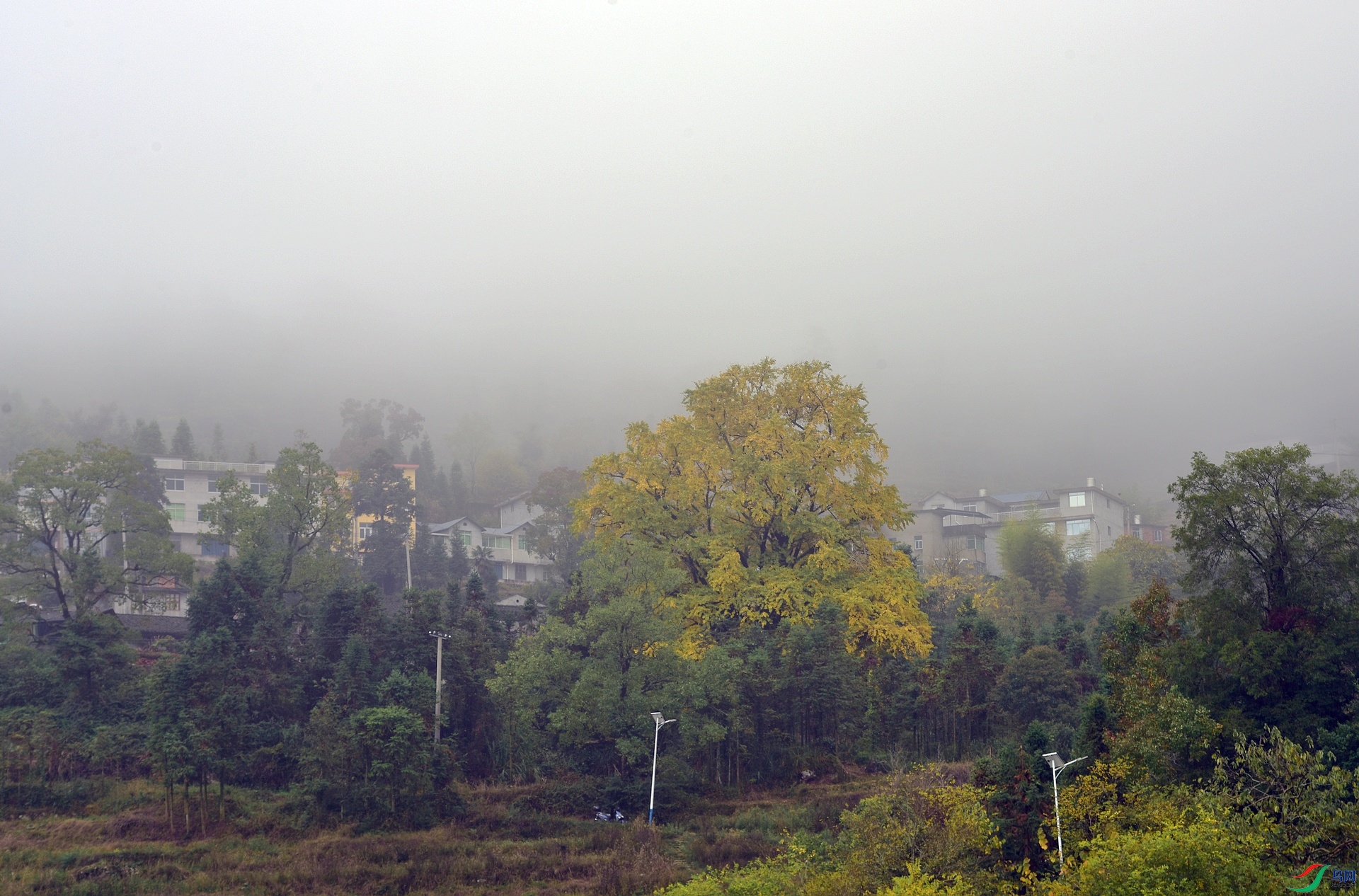 D8I_2551.jpg