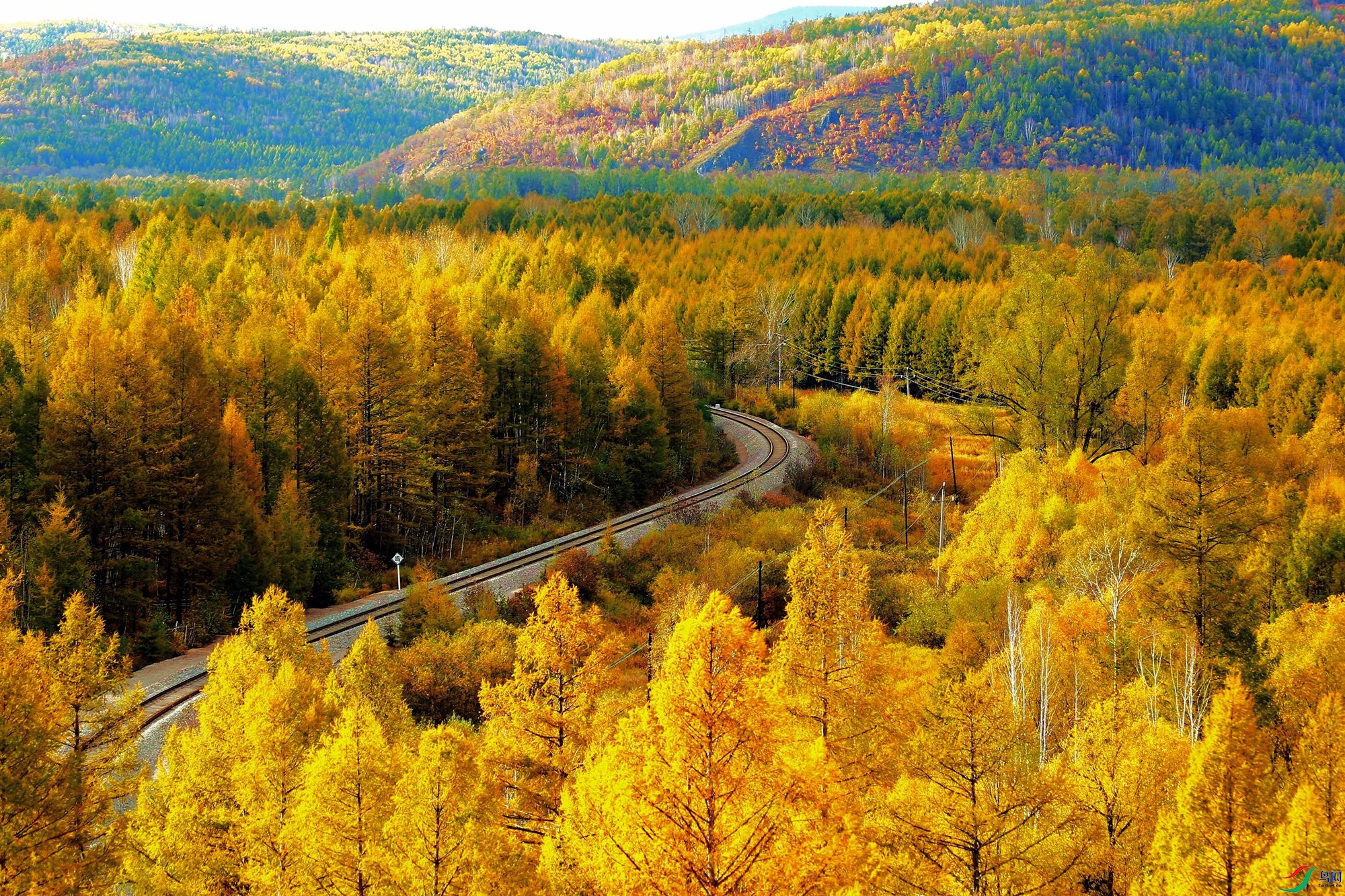 AK2Y0202_2000.jpg