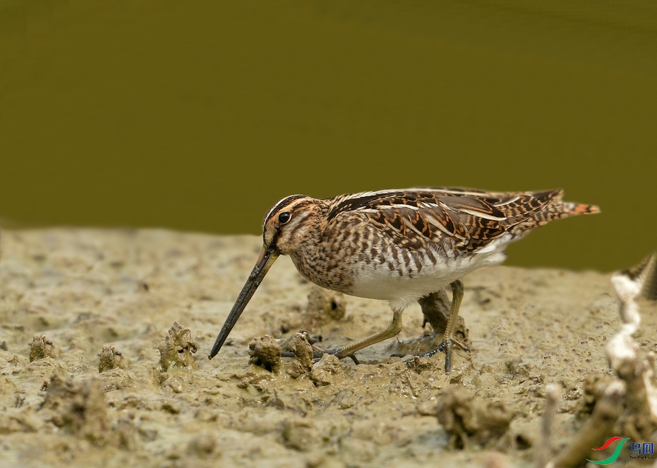 ɿβɳ׶000 ����.jpg