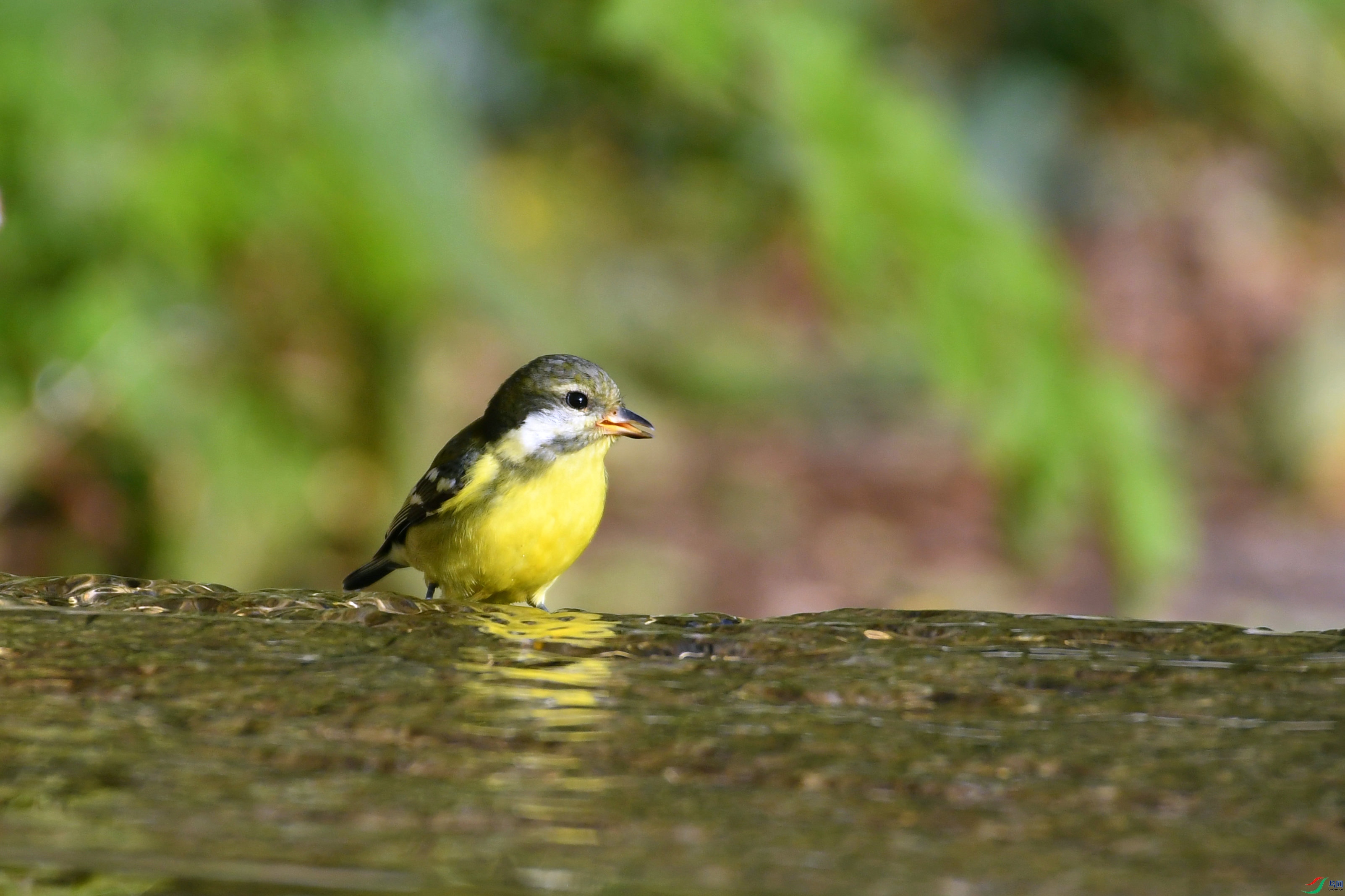 DSC_2734.JPG