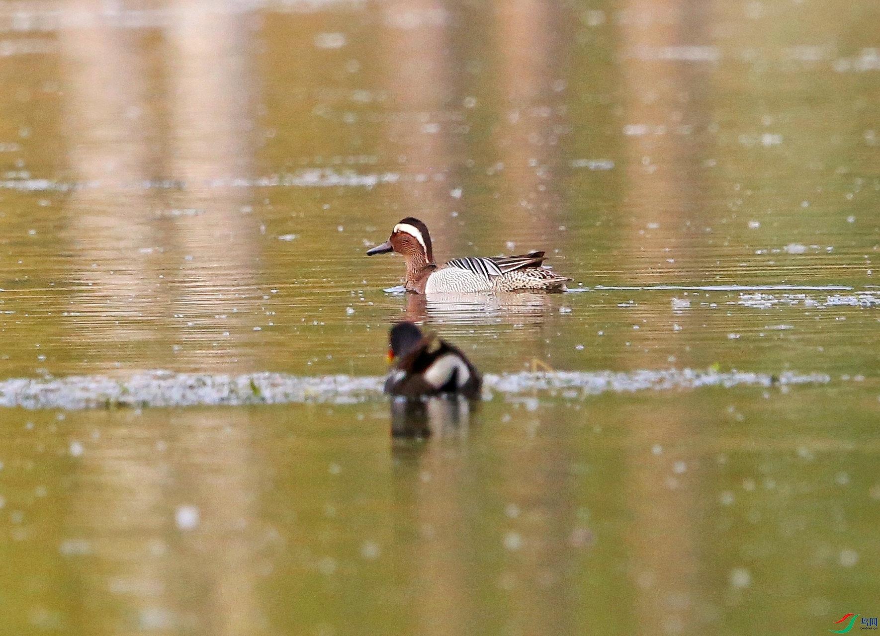 ��ˮ�� 19-01.jpeg