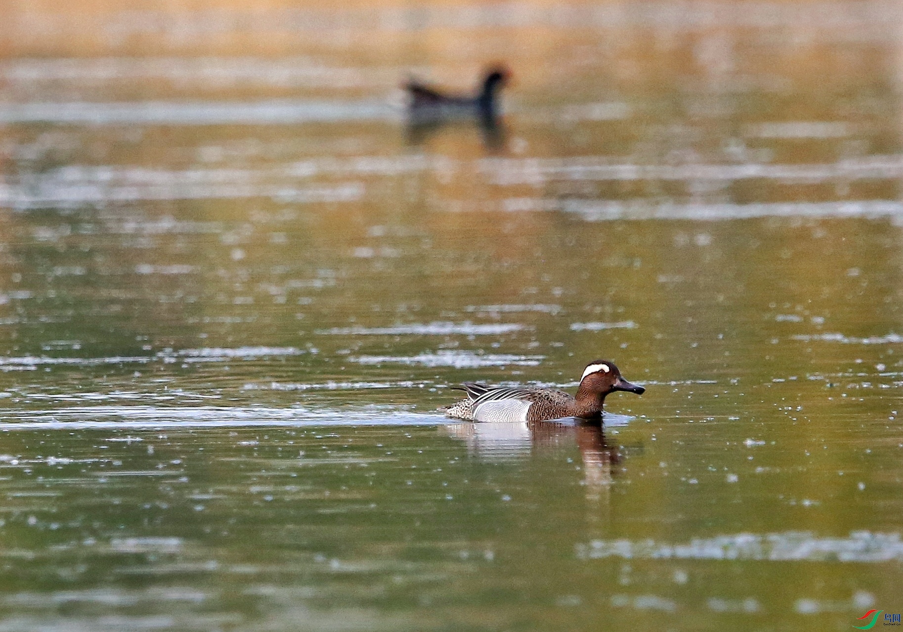 ��ˮ�� 18-01.jpeg