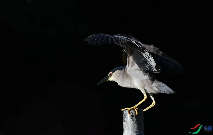 DSC_7331.JPG