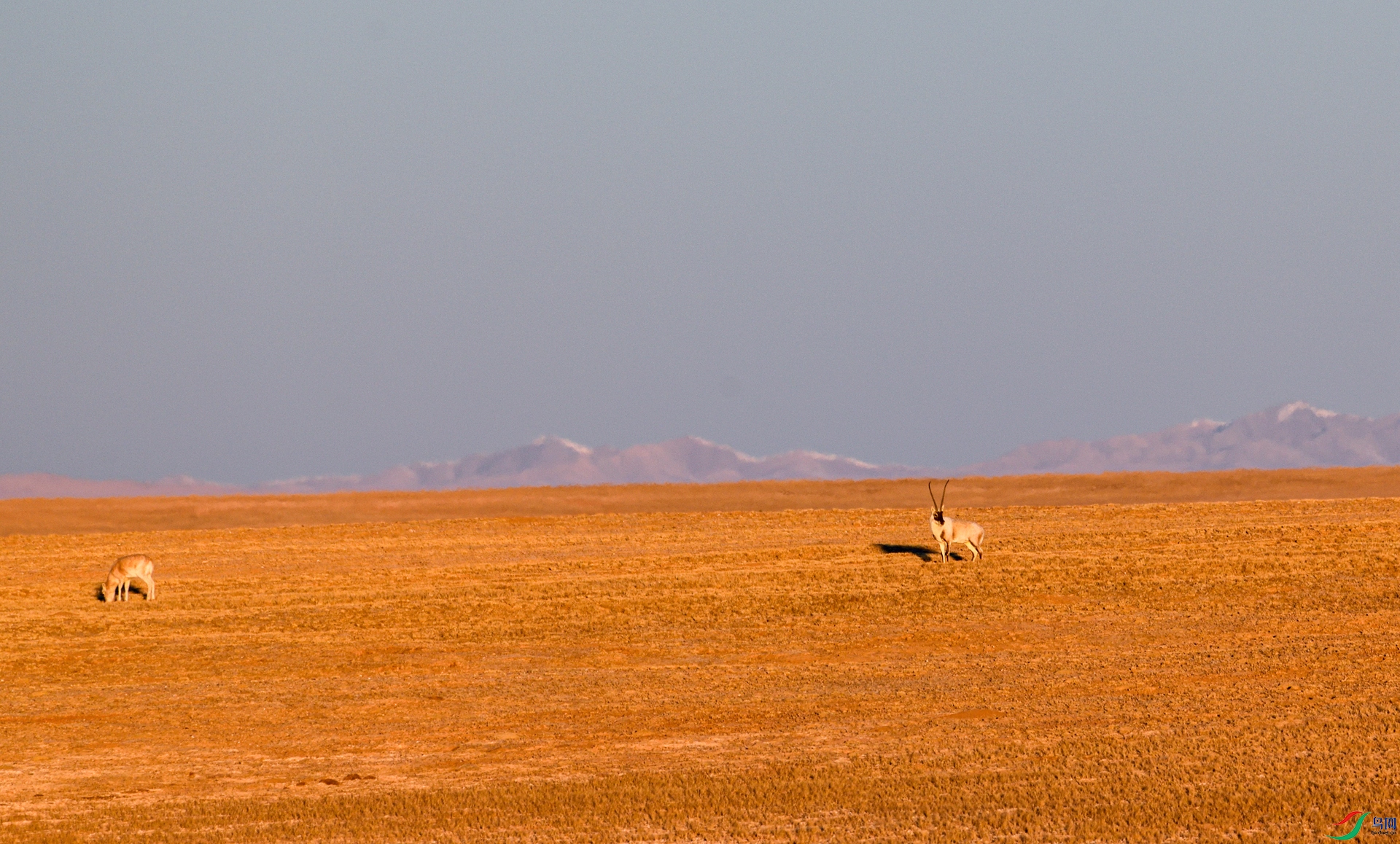 _DSC2418_����.jpg