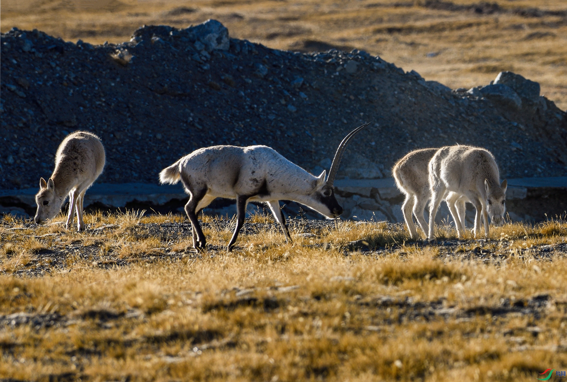 _DSC3169_����.jpg