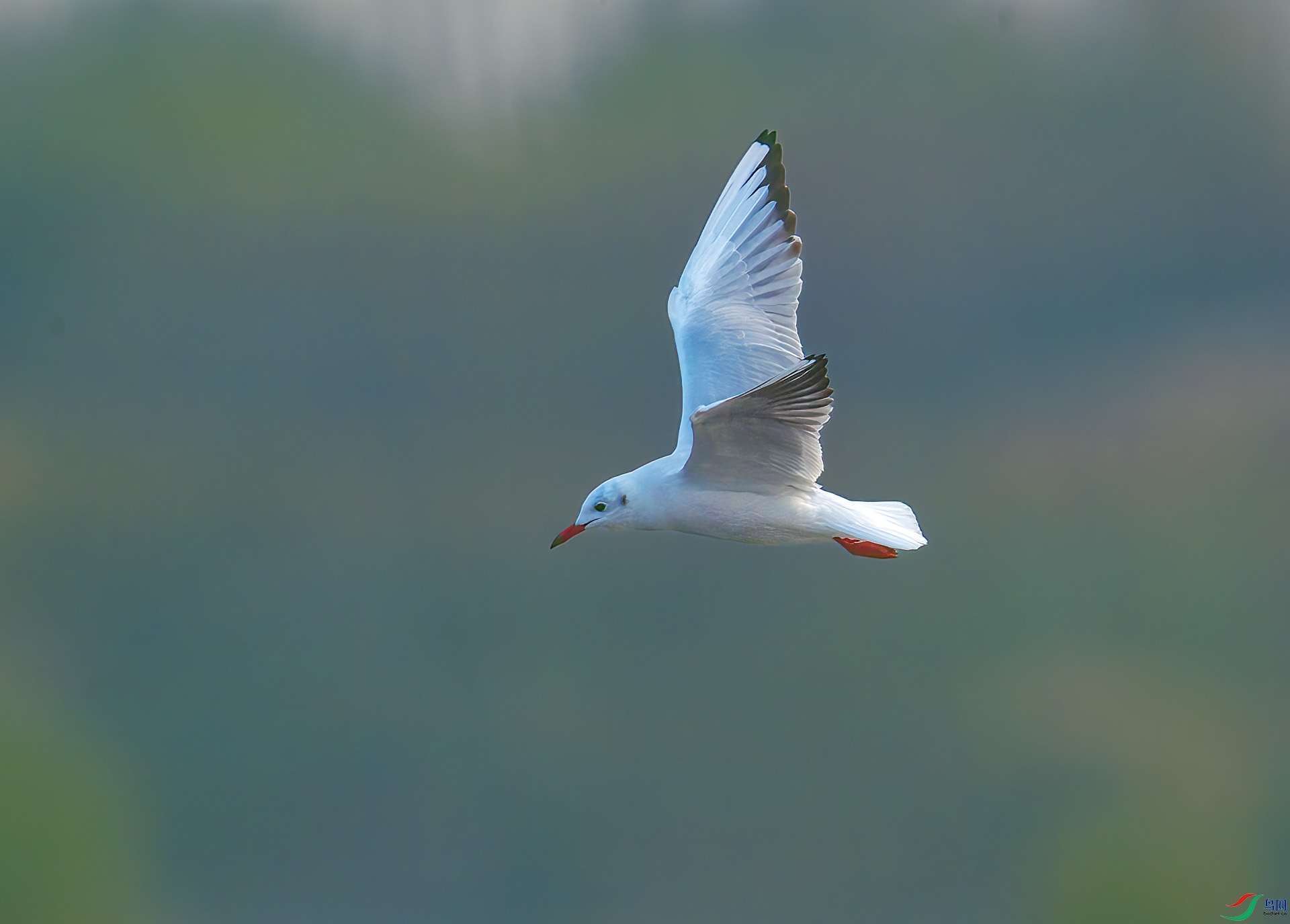 DSC_0065 ����.jpg