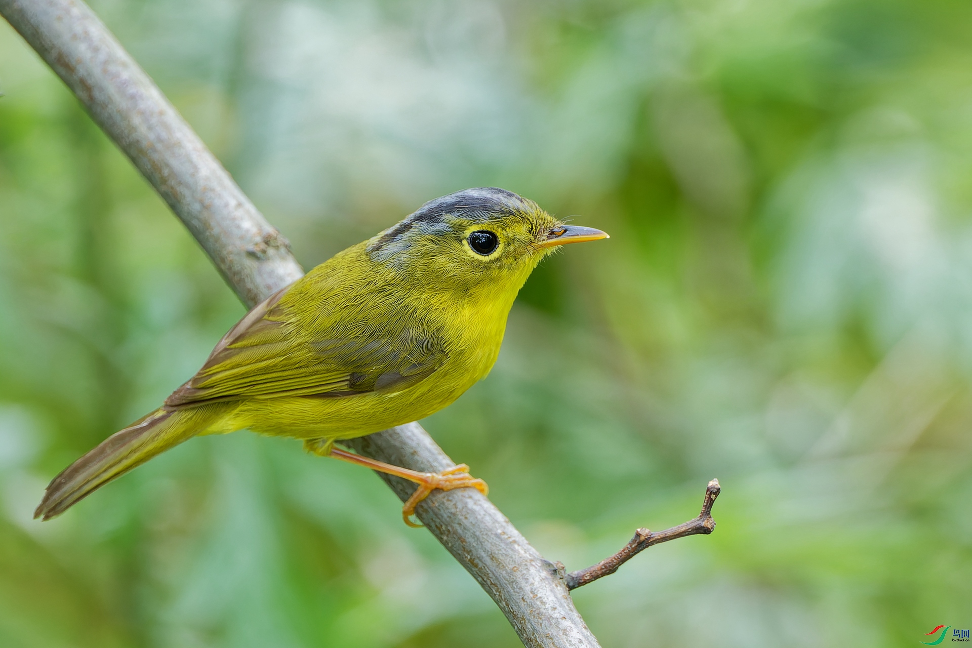 �ҹ��lݺ - ����.jpg