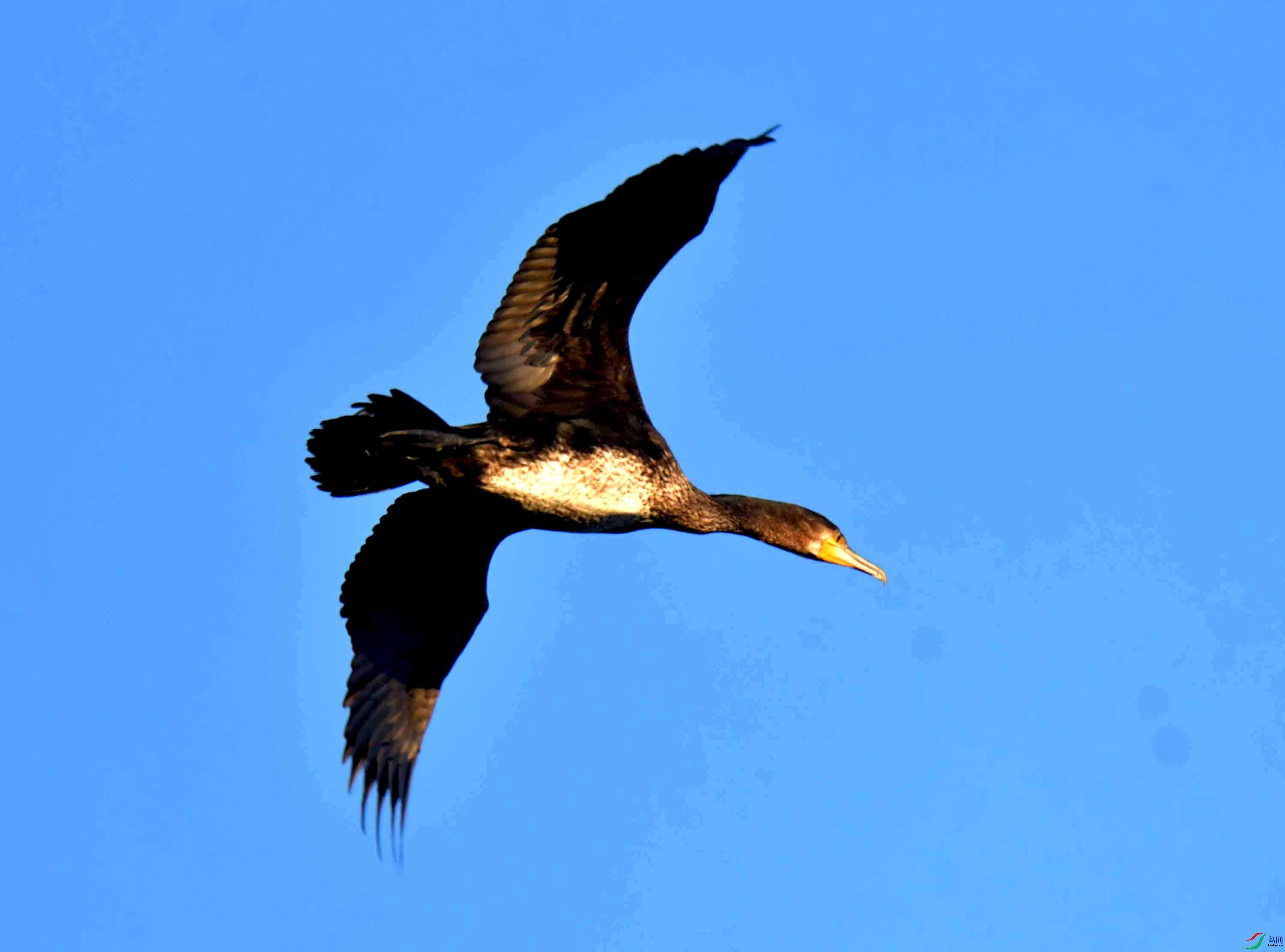 DSC_9825.JPG
