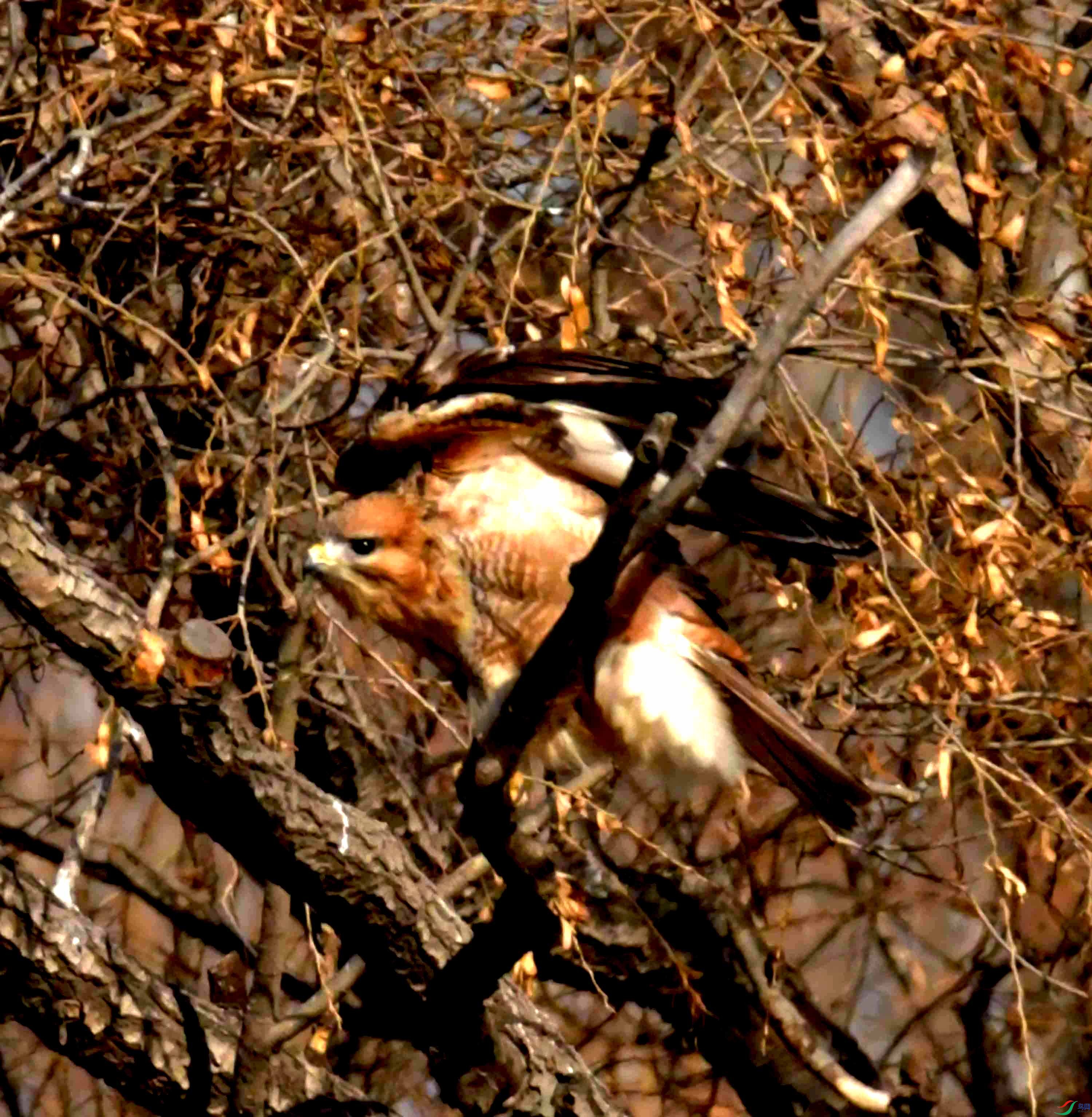 DSC_1555.JPG