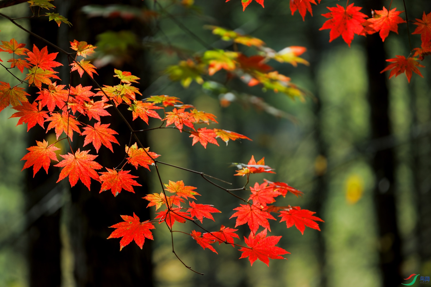 3Z6A0189 ����.jpg