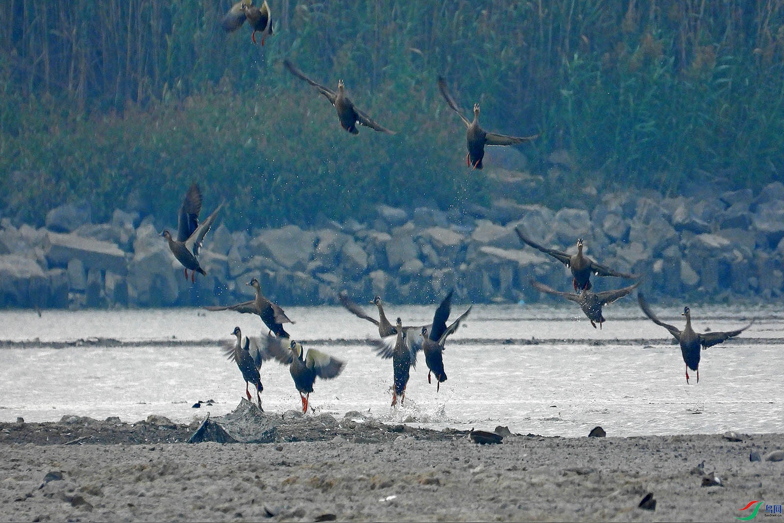 DSCN7839.jpg