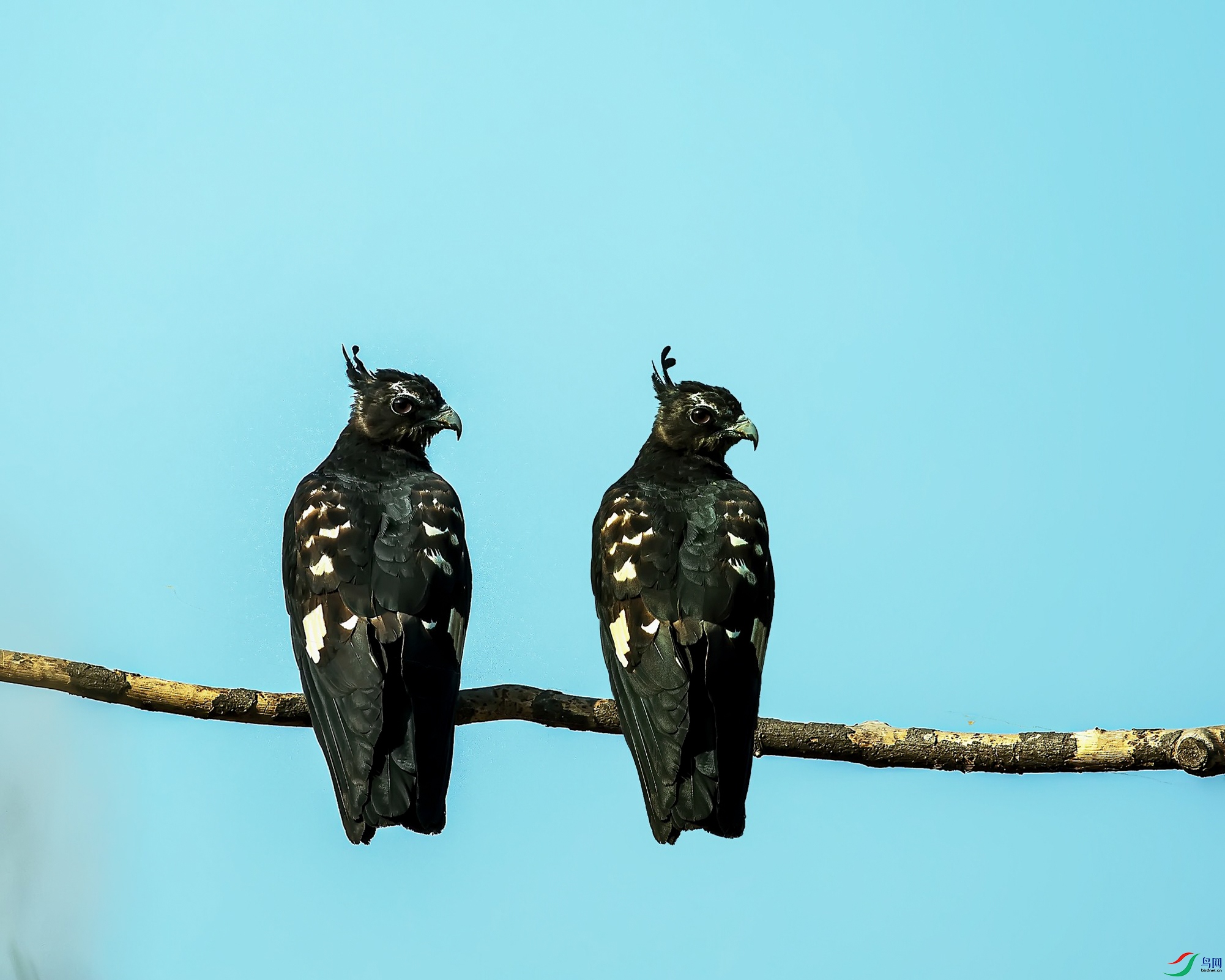 �ڹھ���.19.jpg