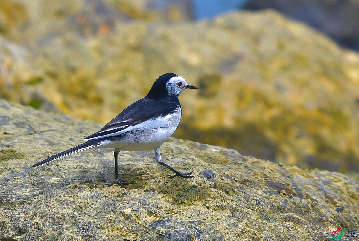 DSC_0769.JPG