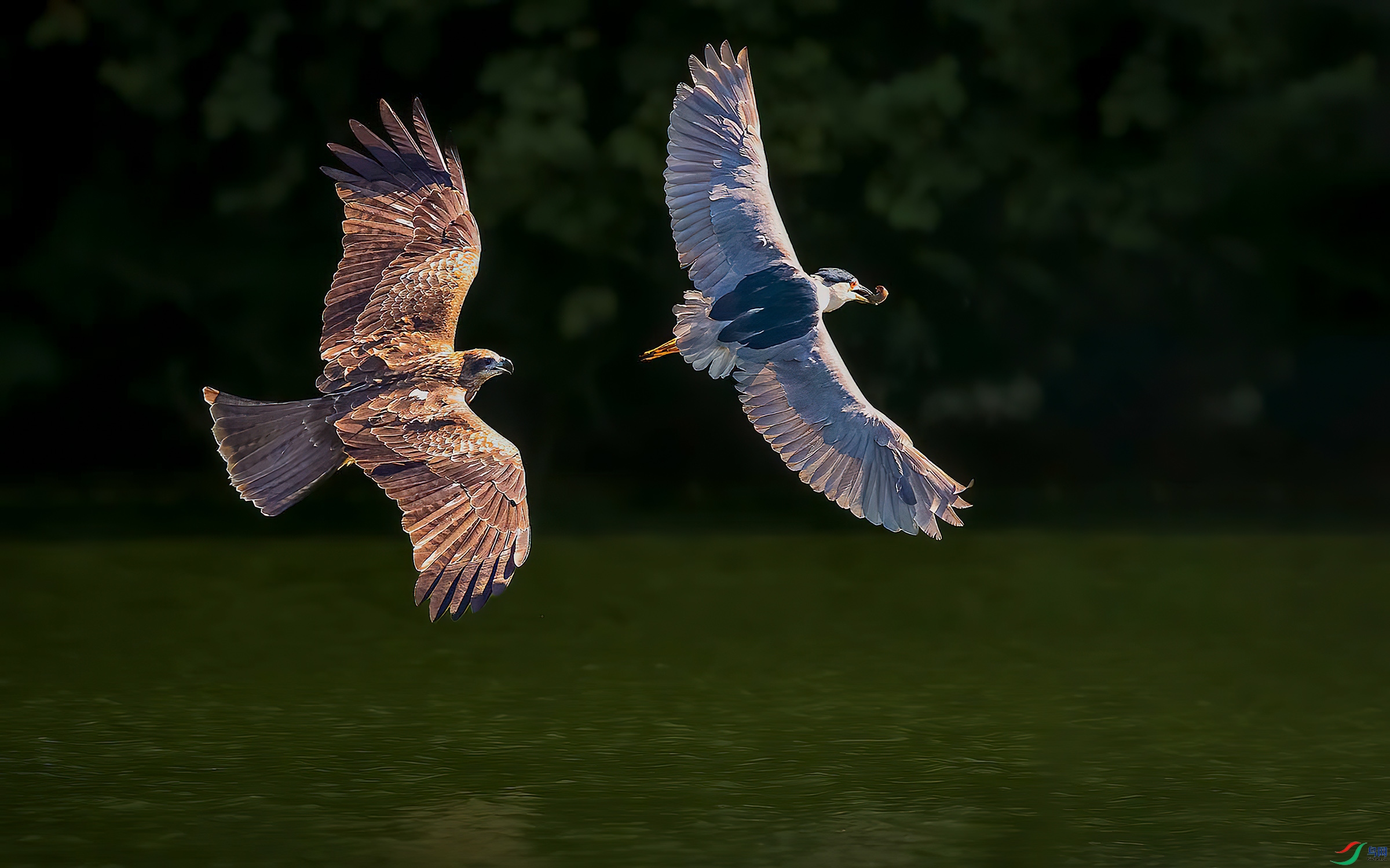 DSC_7177 ���� L.jpg