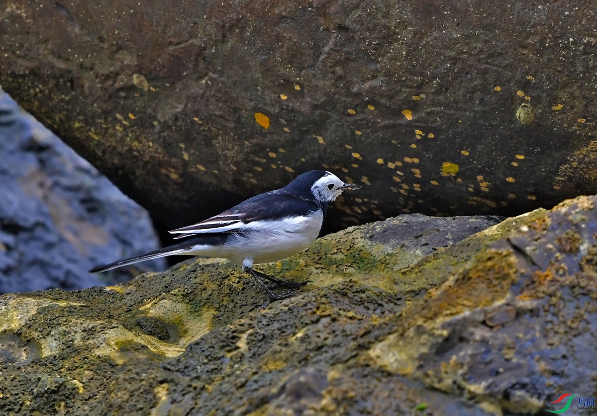 DSC_0795.JPG