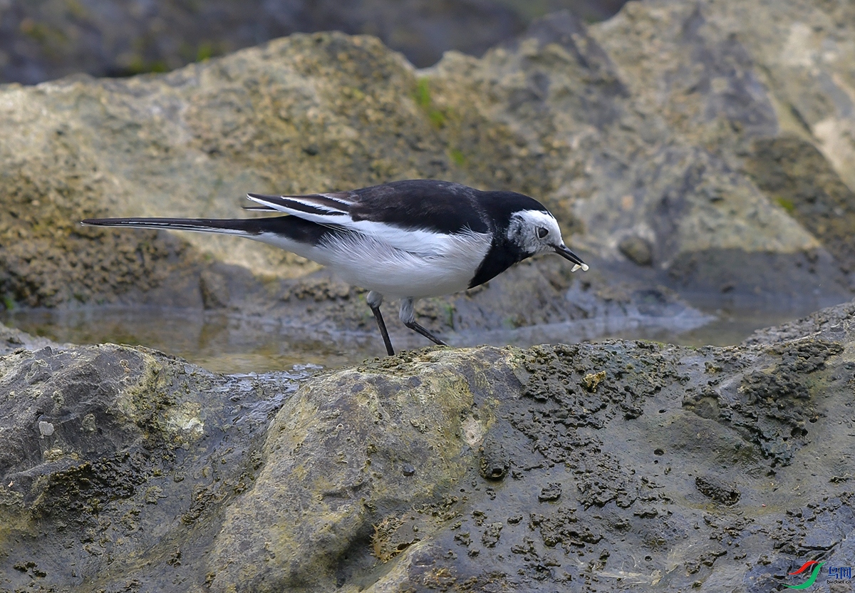 DSC_0818.JPG