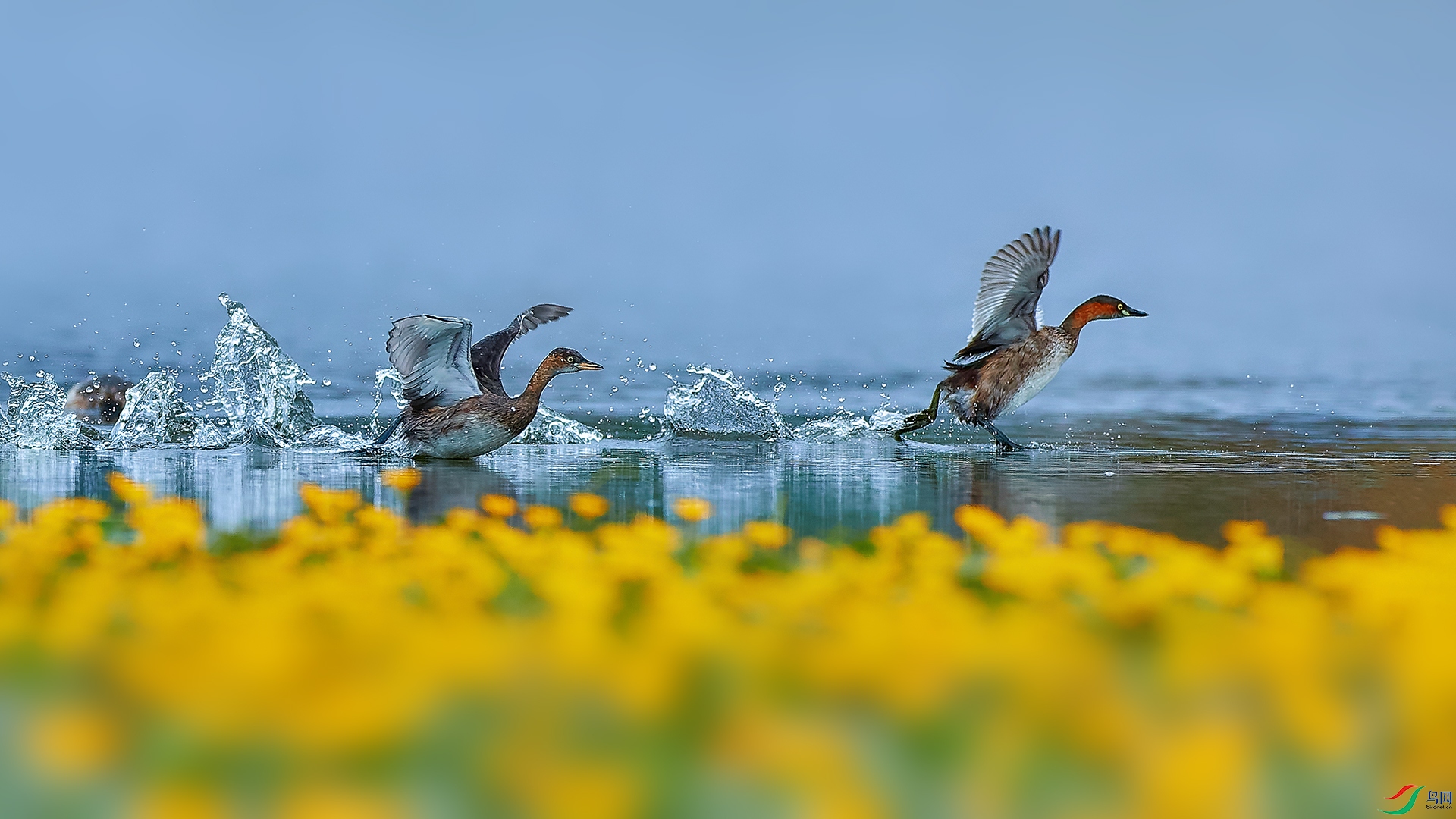 -V3I2024��-1 ����-HZW.jpg