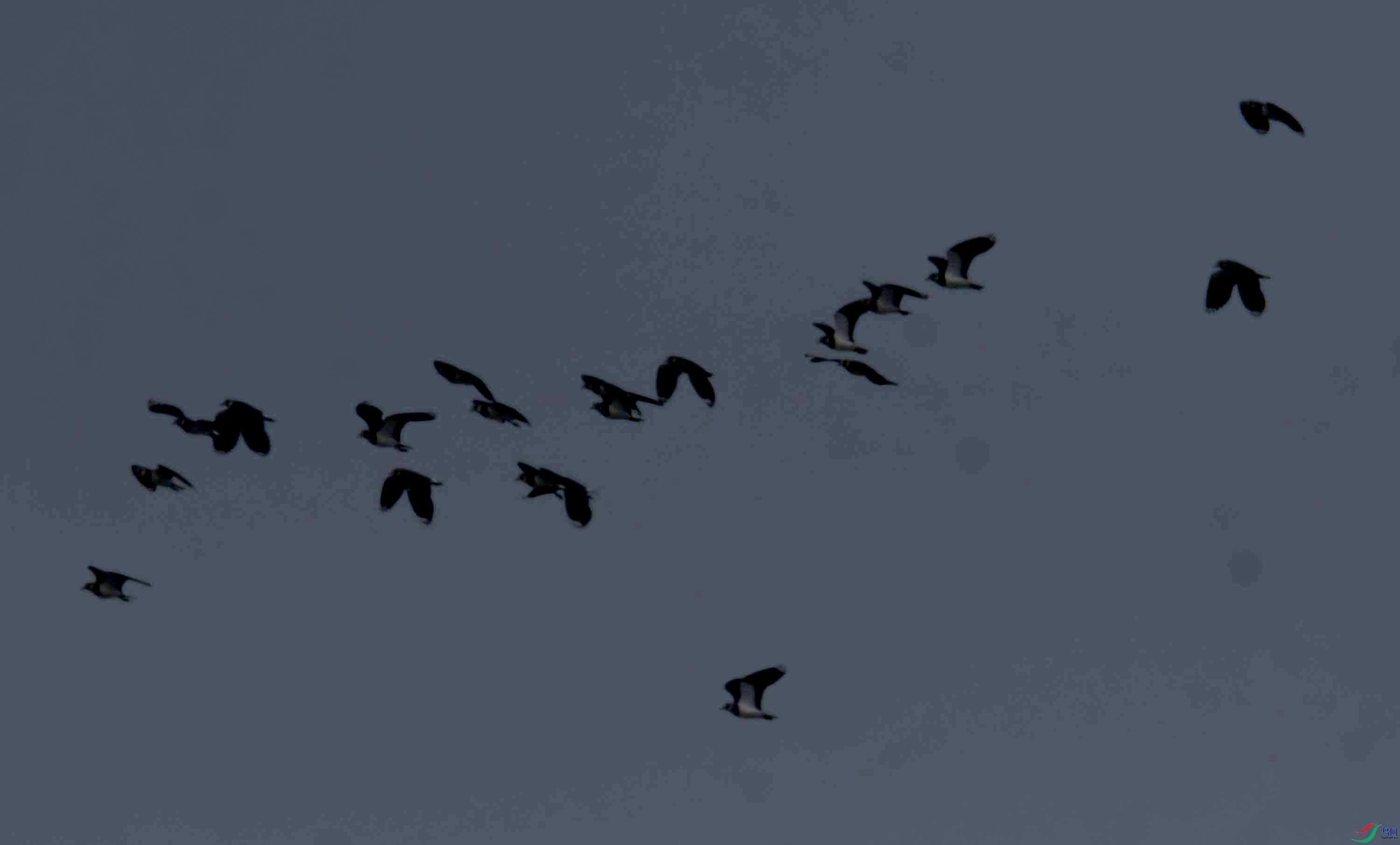 DSC_2583.JPG