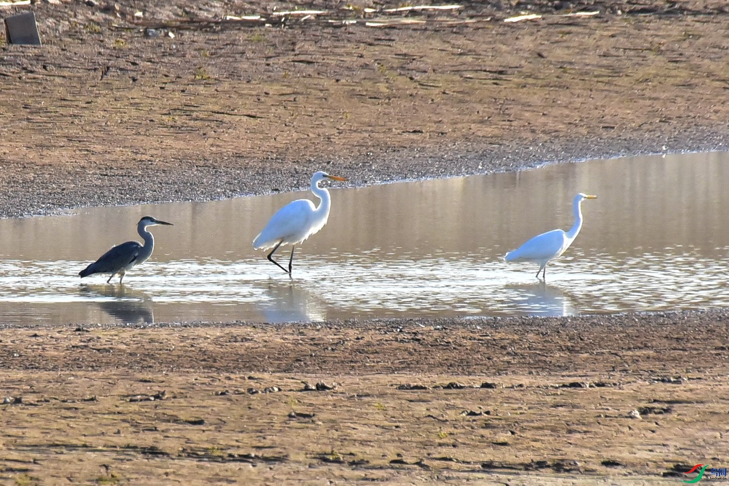 DSC_3874.JPG