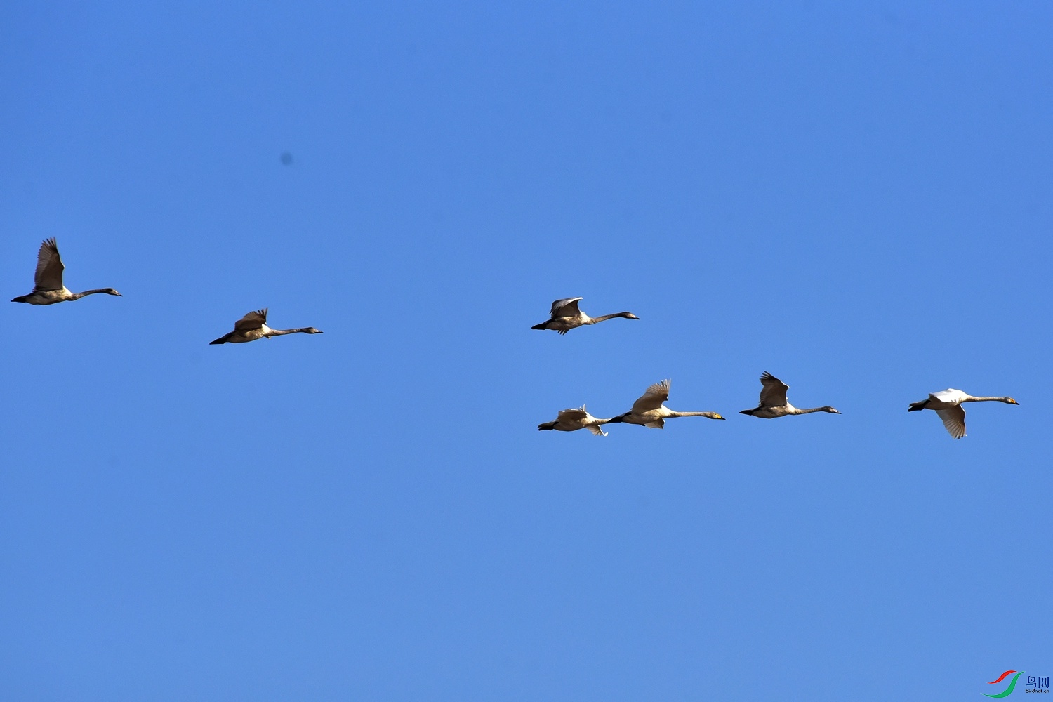 DSC_3967.JPG