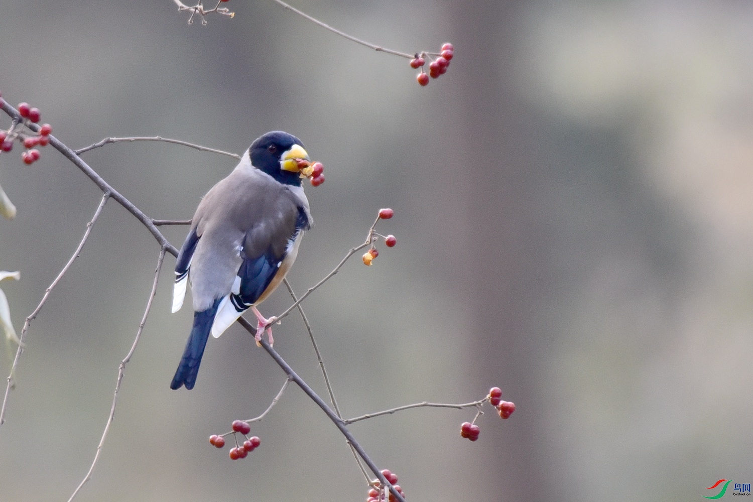 DSC_6459.JPG