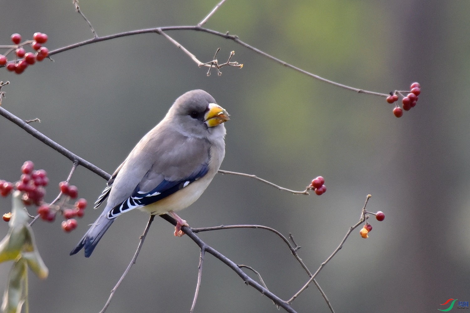 DSC_6533.JPG