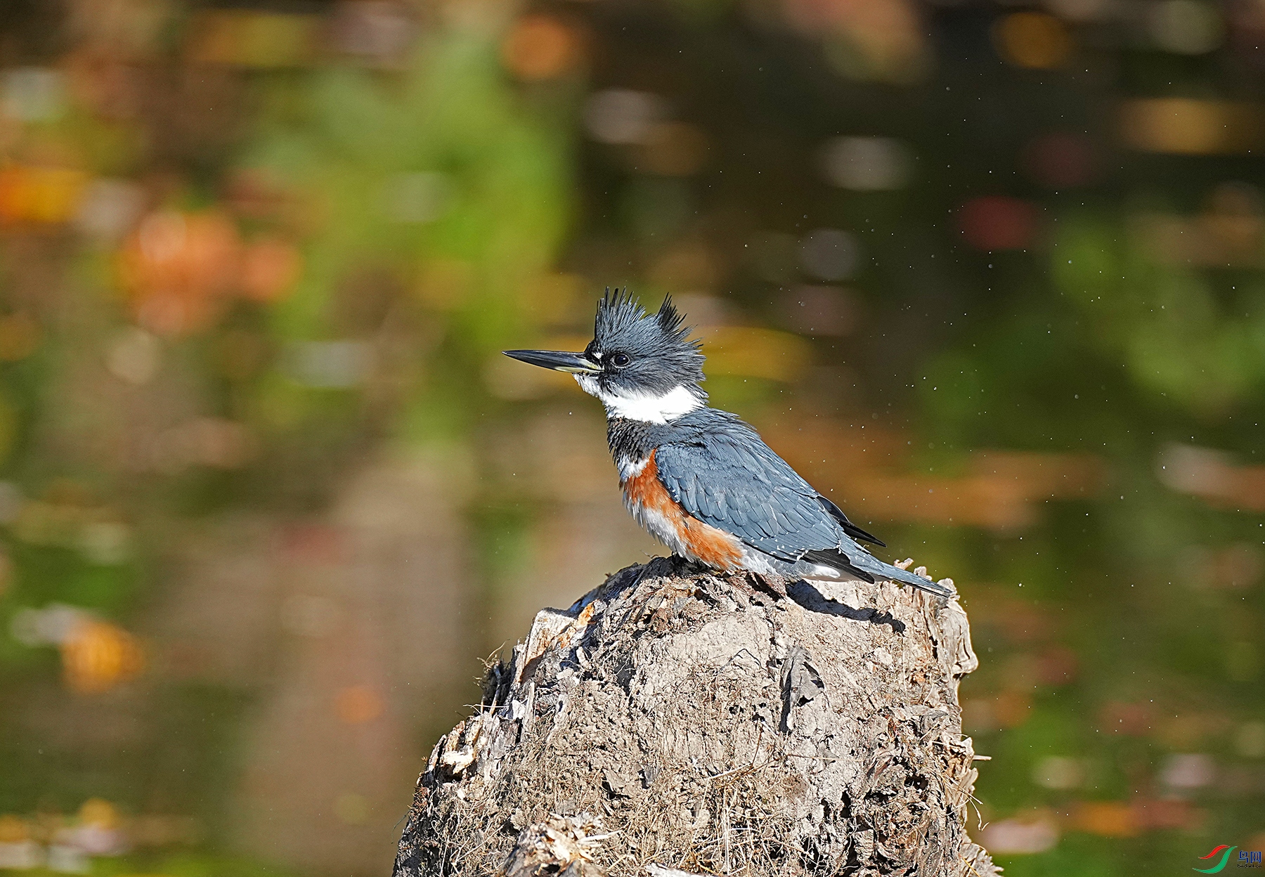 DSD00510--.jpg