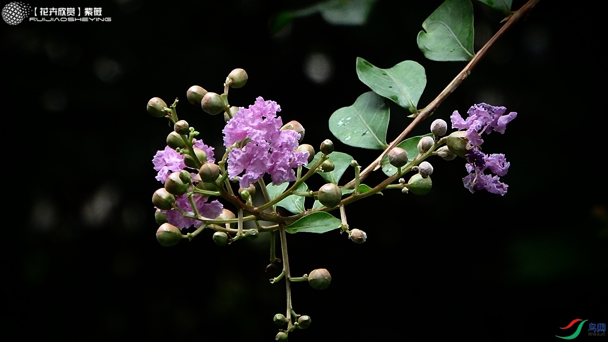 P7132833.jpg