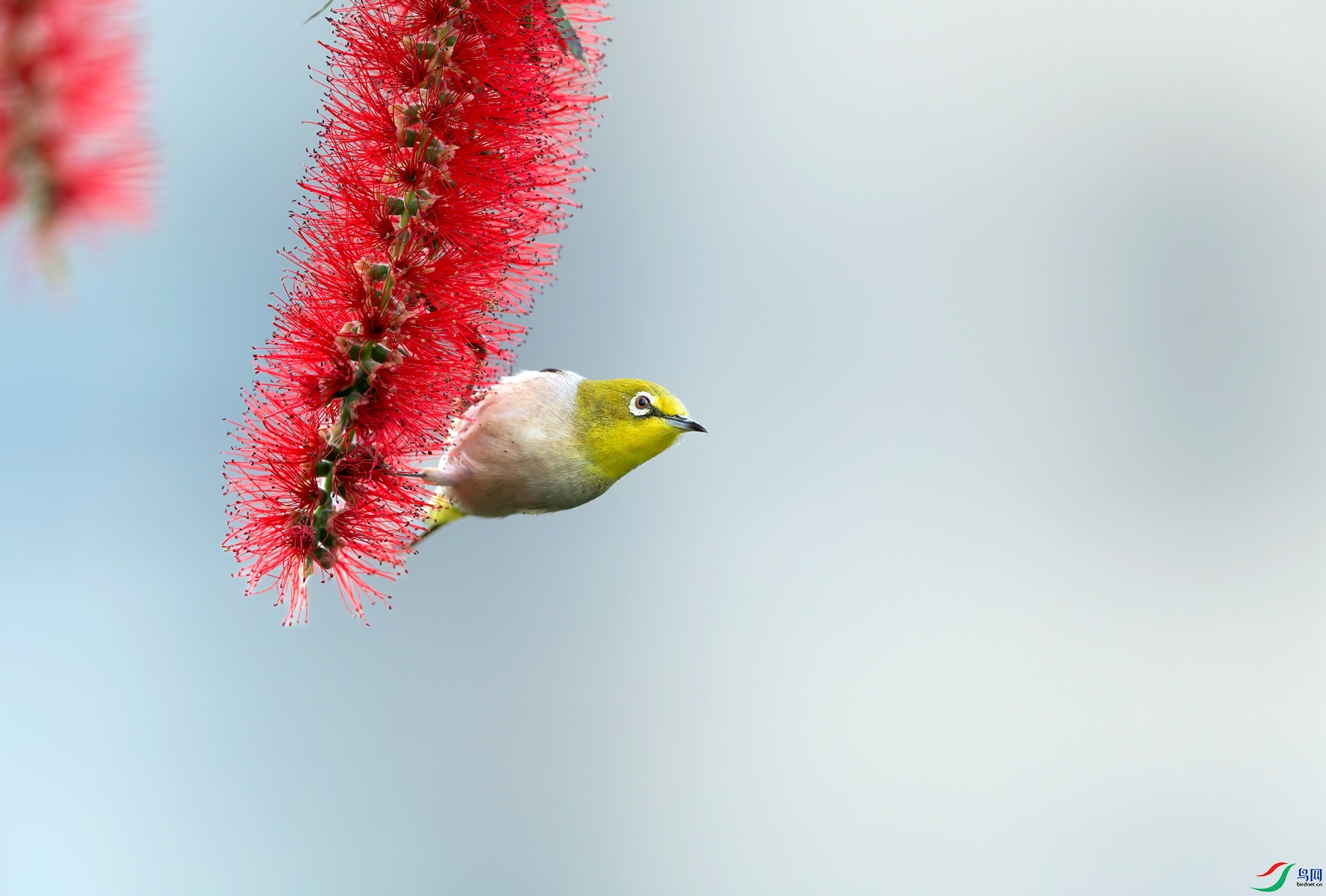 YB0A8028 ����_����.jpg