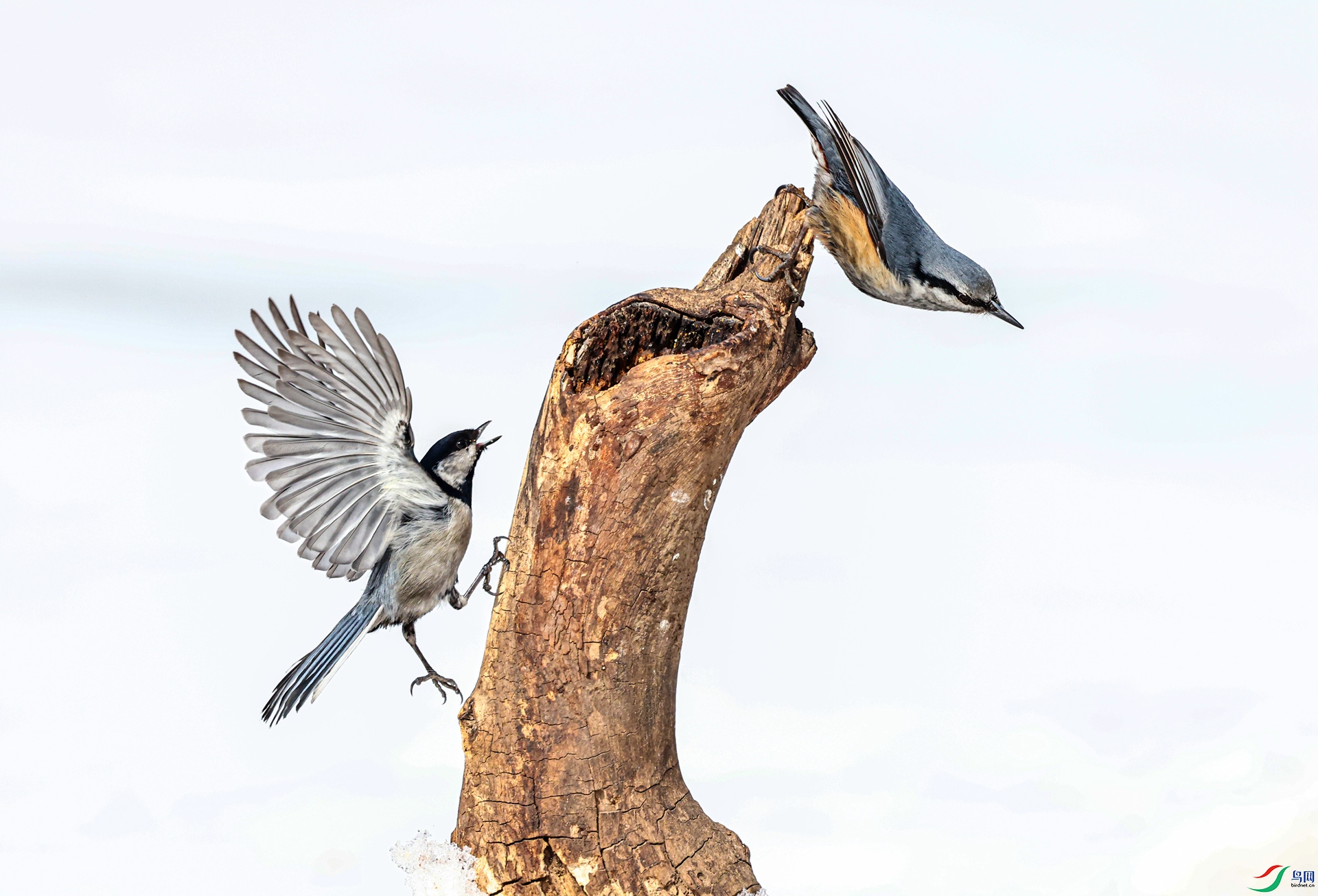 ɽȸ����ͨ��